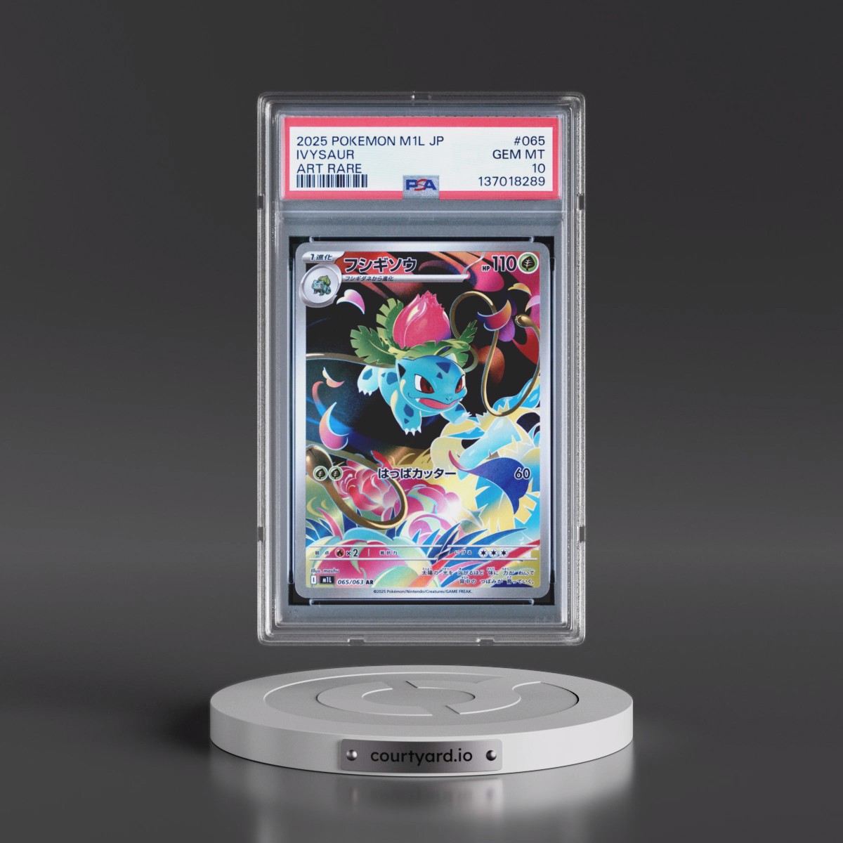 2025 Pokémon M1l-Mega Brave #065 Ivysaur - Art Rare (PSA 10 GEM MINT)