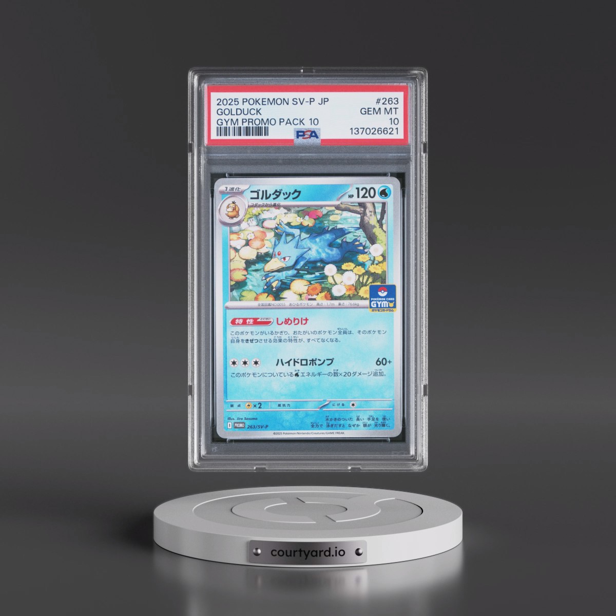 2025 Pokémon SV-P Promo #263 Golduck - Gym Promo Pack 10 (PSA 10 GEM MINT)