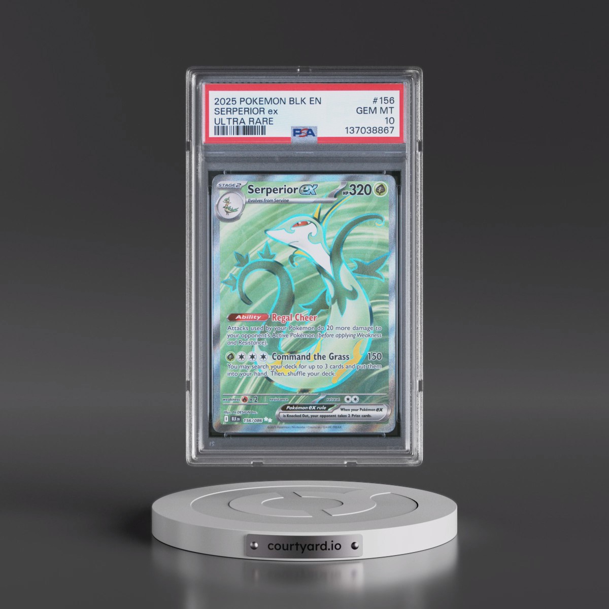 2025 Pokémon Blk EN-Black Bolt #156 Serperior EX - Holo Ultra Rare (PSA 10 GEM MINT)