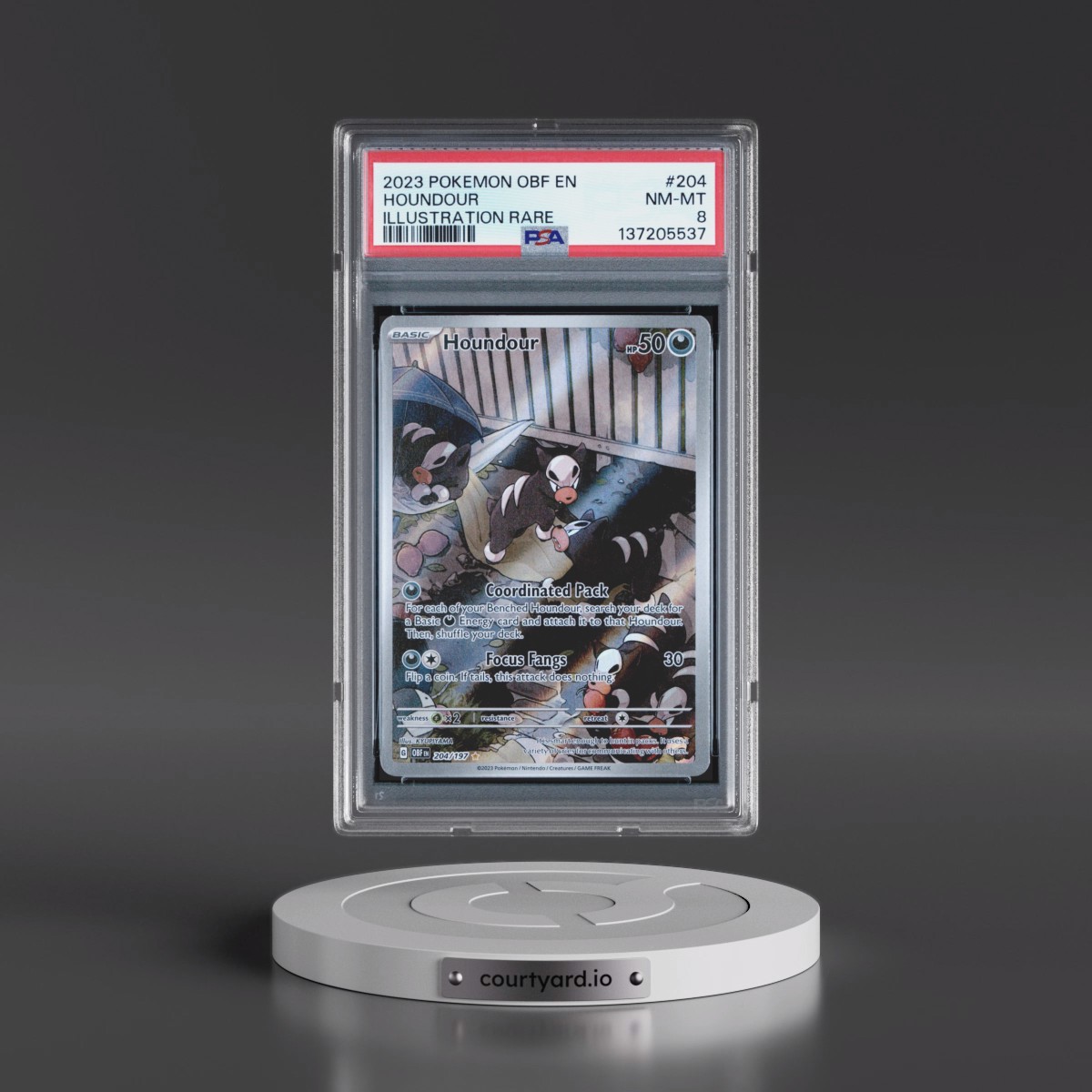 2023 Pokémon Obf EN-Obsidian Flames #204 Houndour - Illustration Rare (PSA 8 NM-MT)
