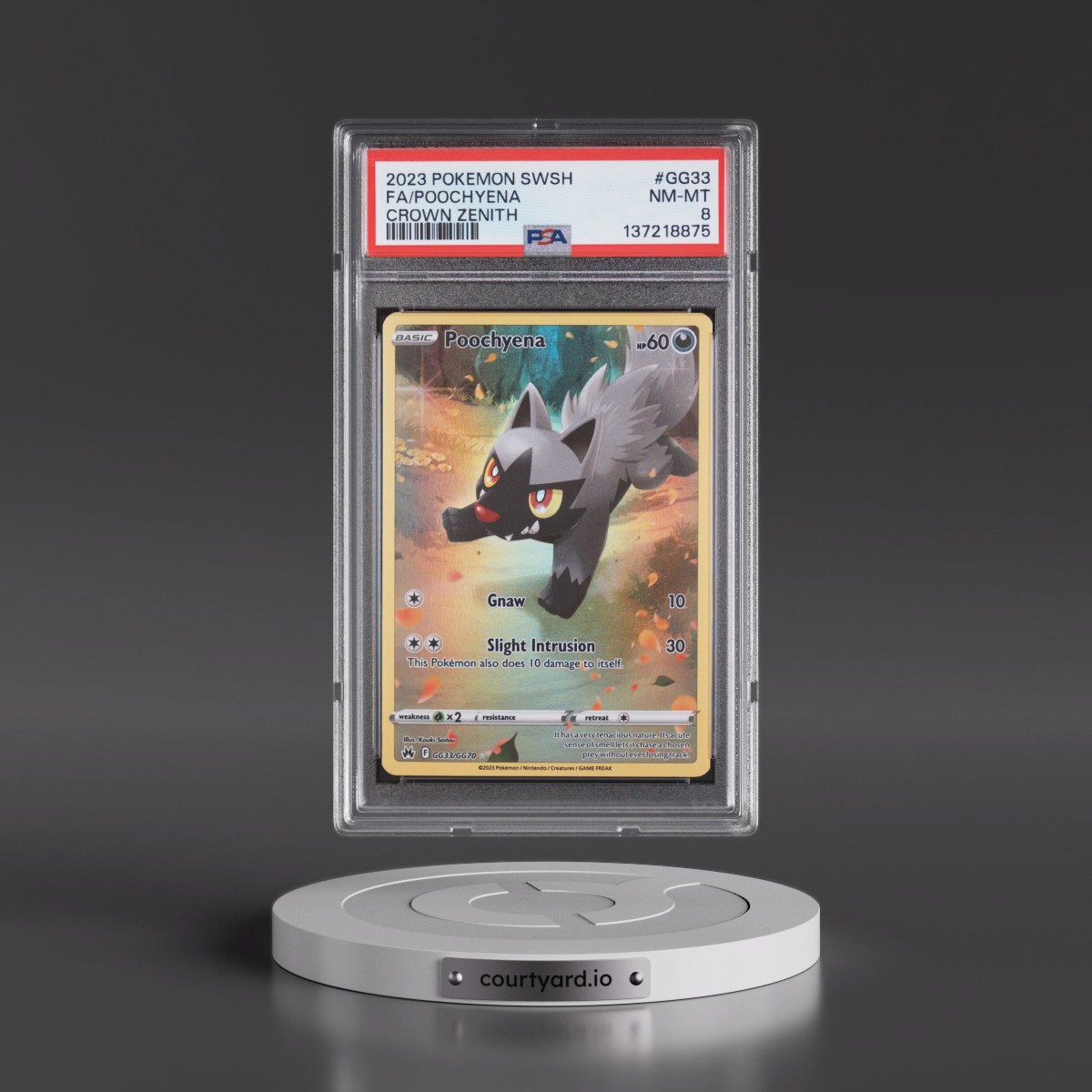 2023 Pokémon Sword and Shield Crown Zenith #GG33 Poochyena - Full Art (PSA 8 NM-MT)