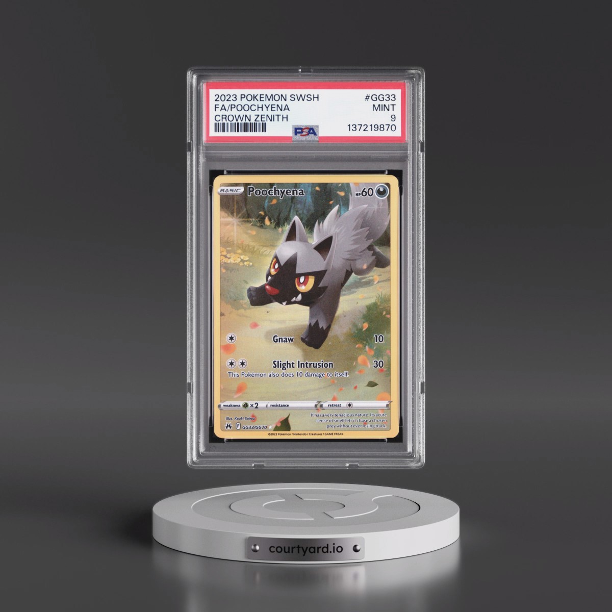 2023 Pokémon Sword and Shield Crown Zenith #GG33 Poochyena - Full Art (PSA 9 MINT)