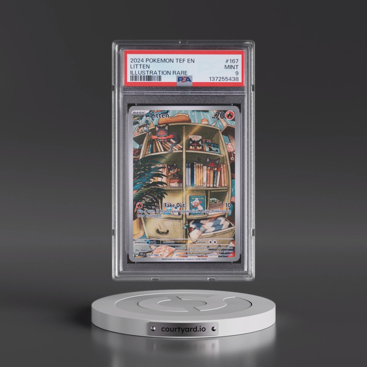 2024 Pokémon Tef EN-Temporal Forces #167 Litten - Illustration Rare (PSA 9 MINT)