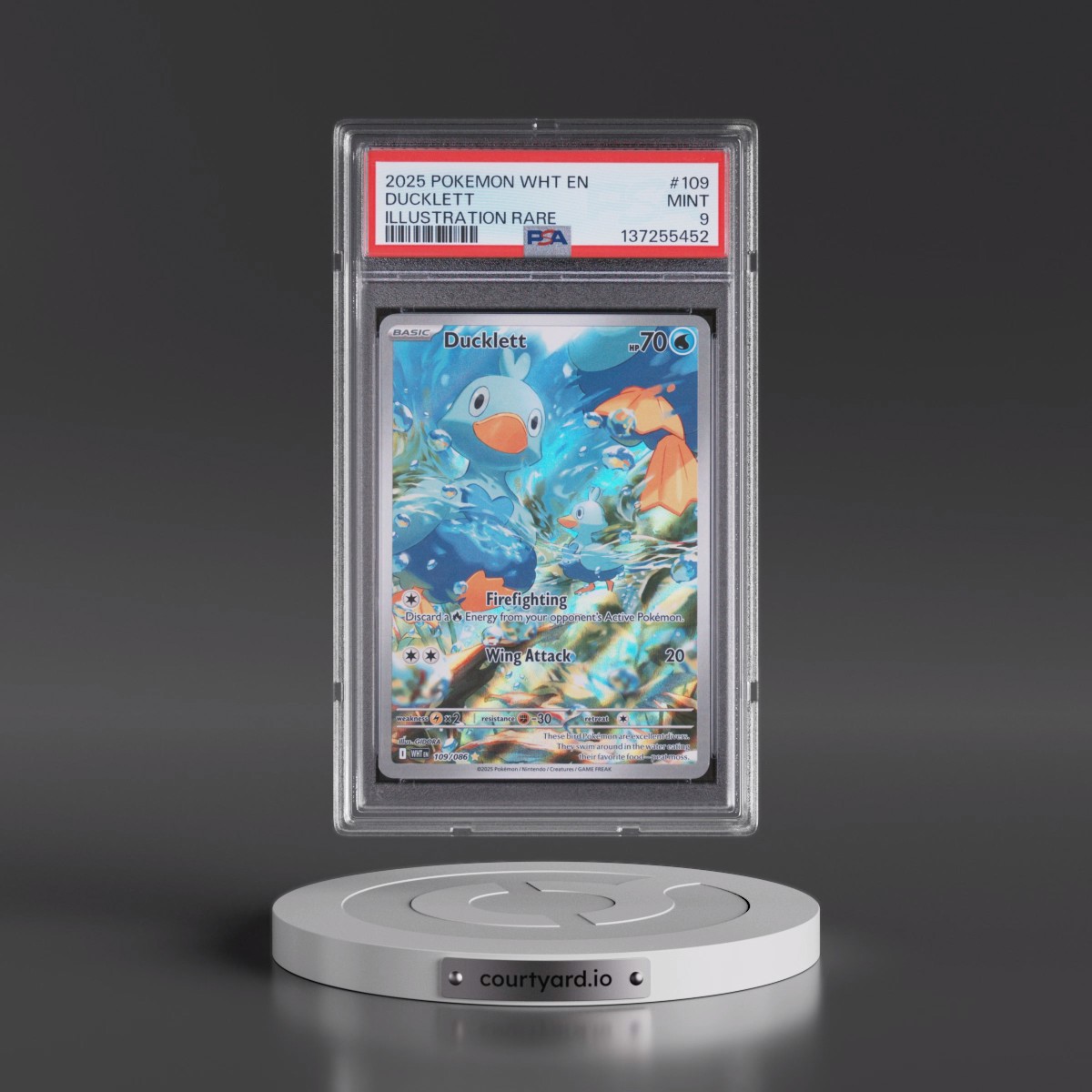 2025 Pokémon Wht EN-White Flare #109 Ducklett - Illustration Rare (PSA 9 MINT)