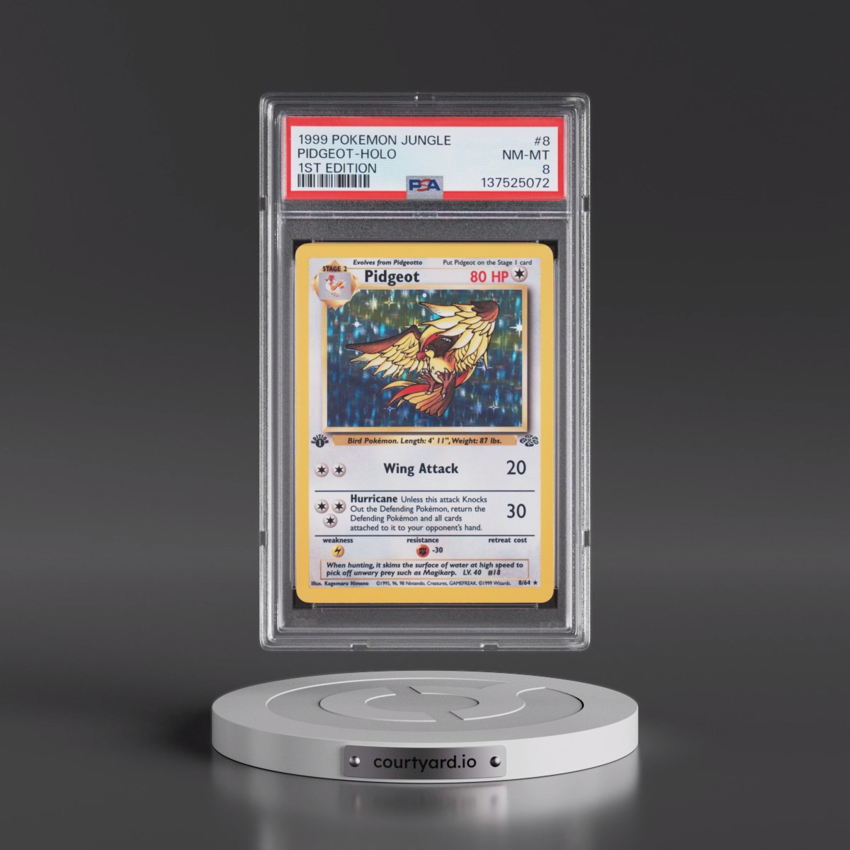 1999 Pokémon Jungle #8 Pidgeot - 1st Edition Holo (PSA 8 NM-MT)