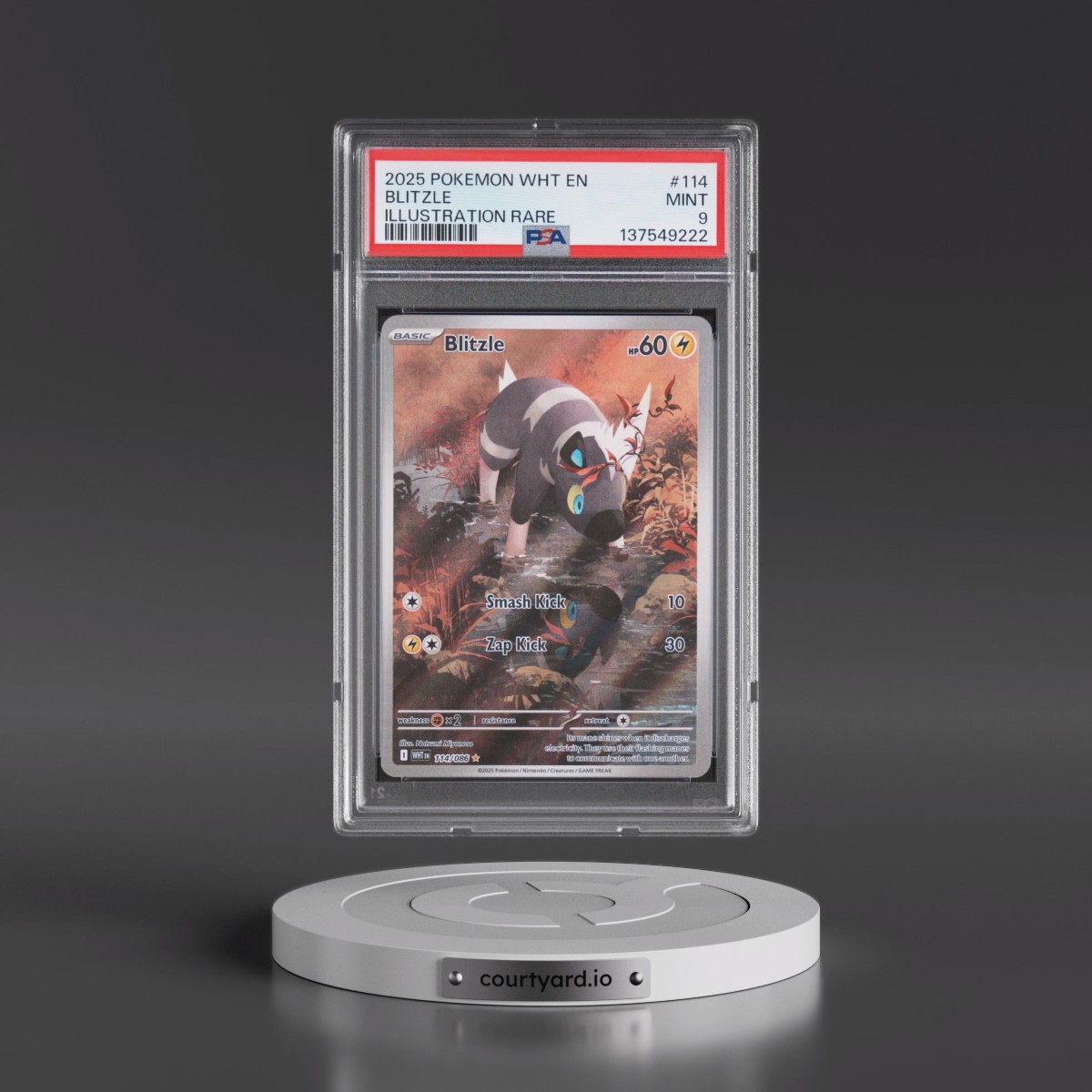 2025 Pokémon Wht EN-White Flare #114 Blitzle - Illustration Rare (PSA 9 MINT)