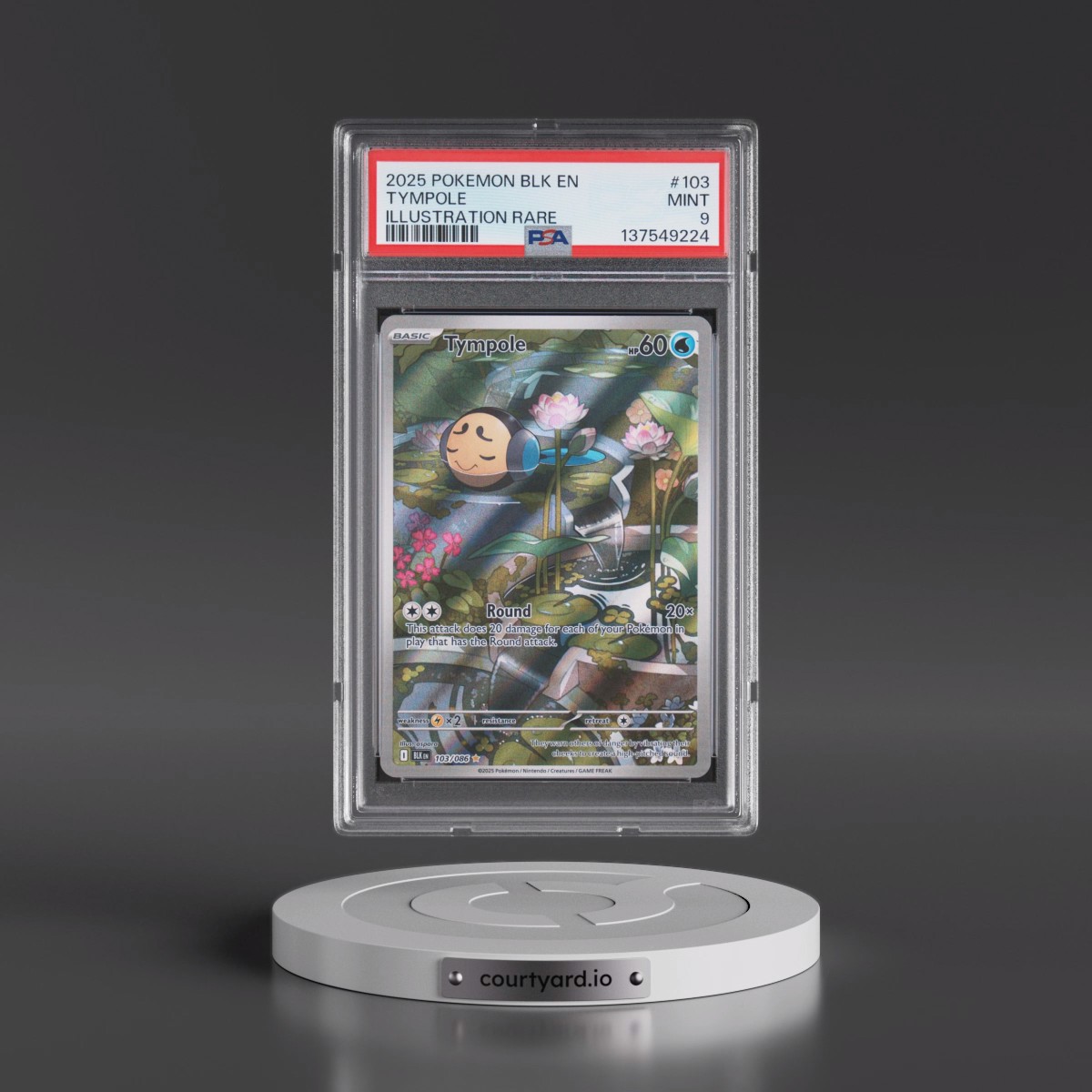 2025 Pokémon Blk EN-Black Bolt #103 Tympole - Illustration Rare (PSA 9 MINT)