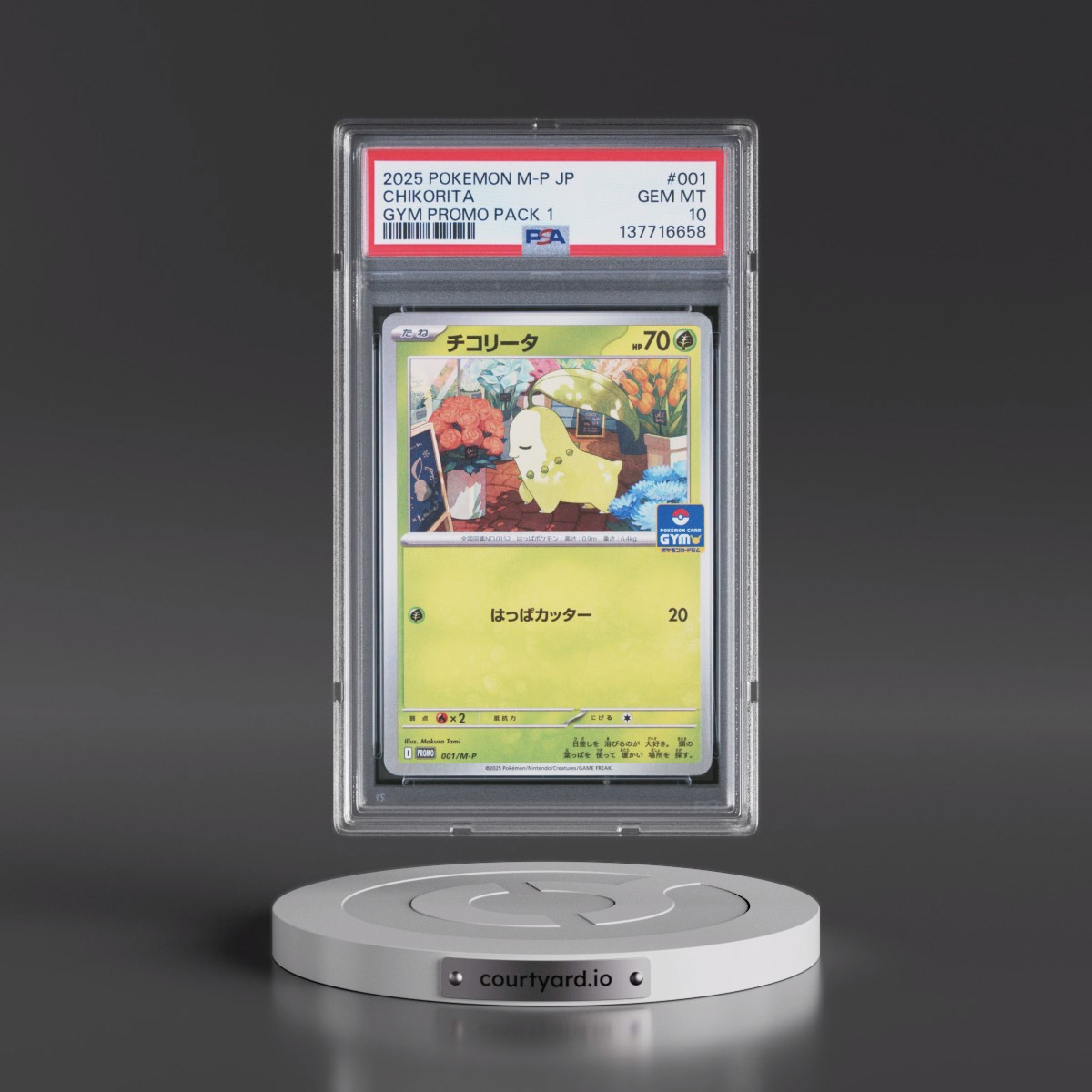 2025 Pokémon M-P Promo #001 Chikorita - Gym Promo Pack 1 (PSA 10 GEM MINT)