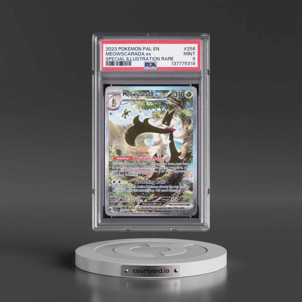 2023 Pokémon Pal EN-Paldea Evolved #256 Meowscarada EX - Holo Special Illustration Rare (PSA 9 MINT)