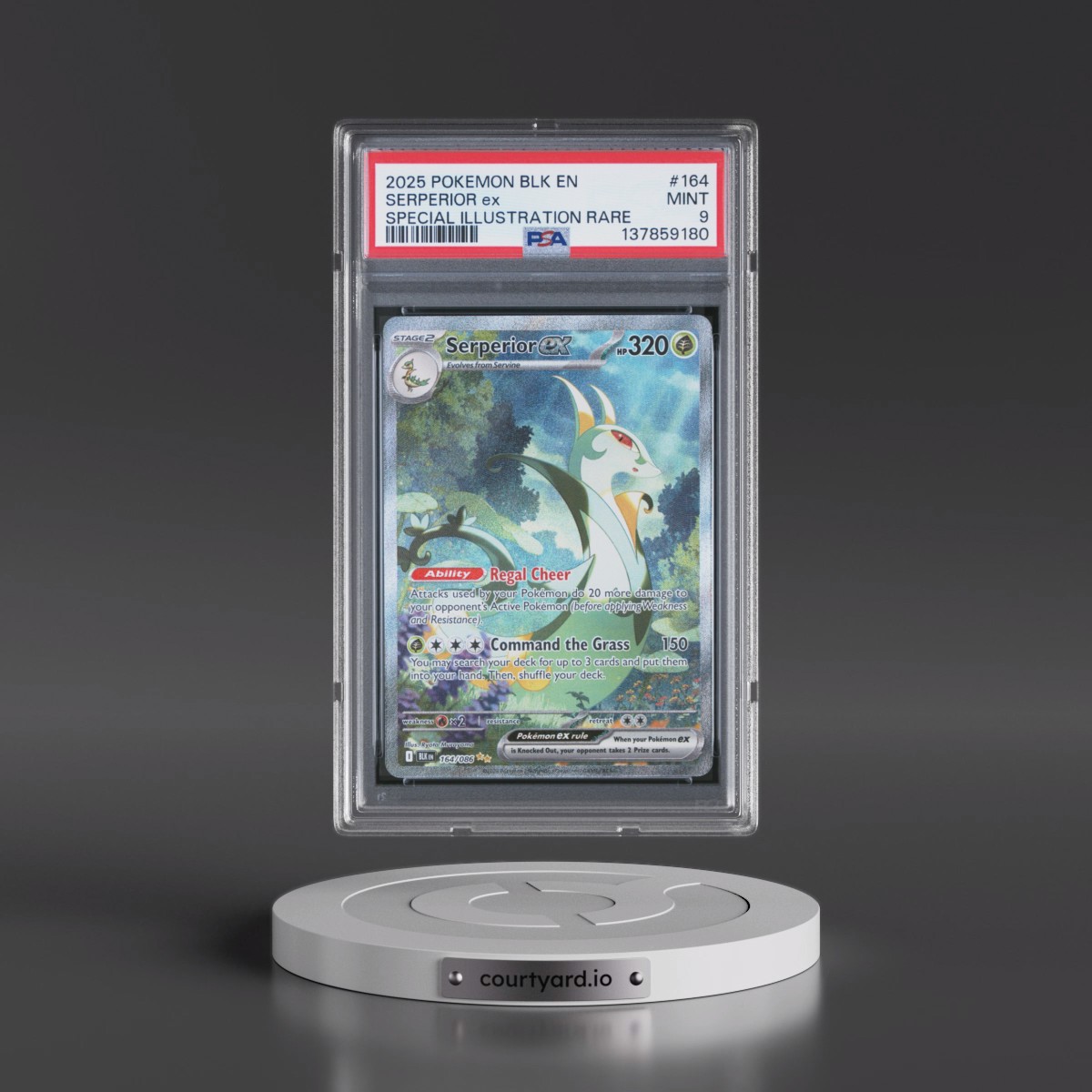 2025 Pokémon Blk EN-Black Bolt #164 Serperior EX - Holo Special Illustration Rare (PSA 9 MINT)