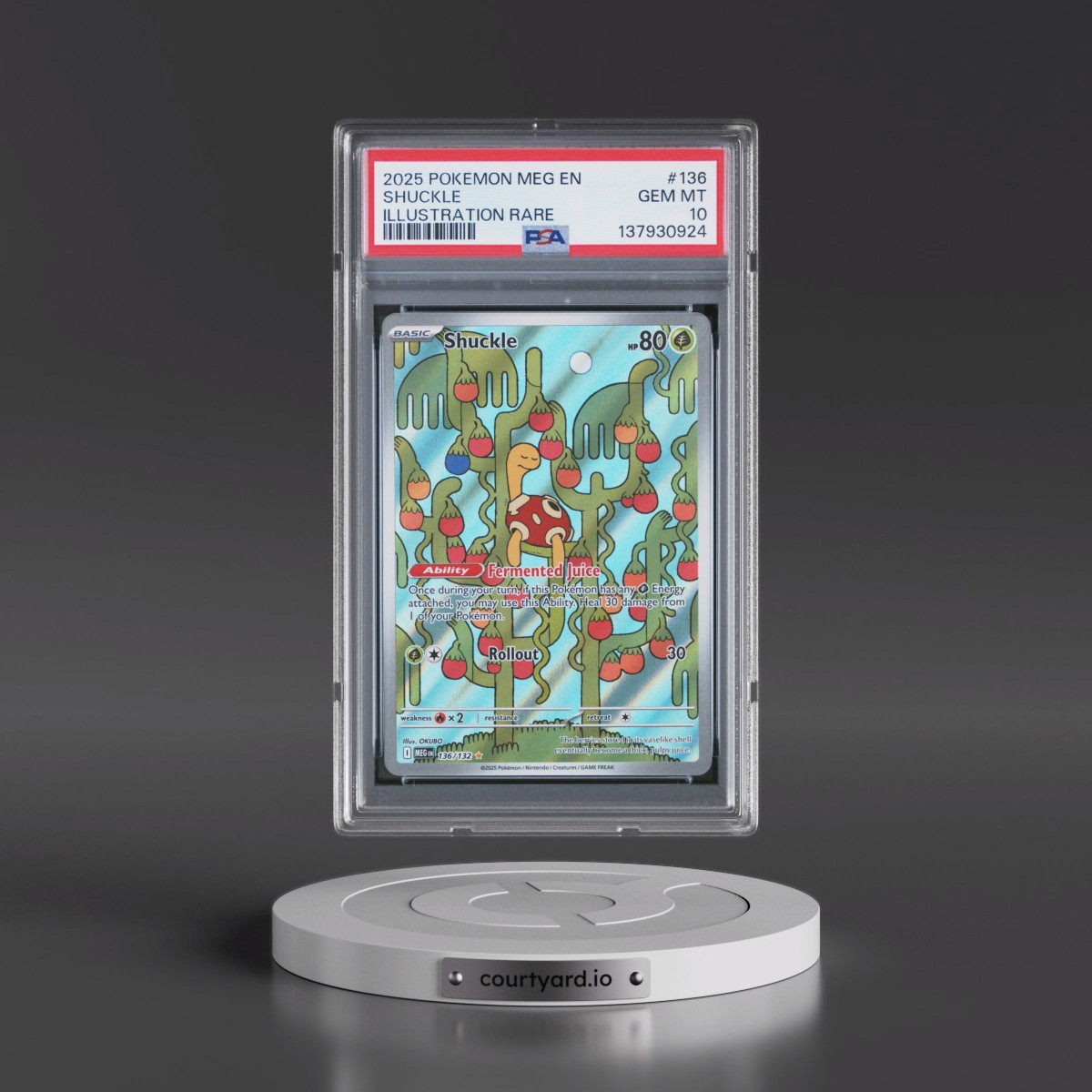 2025 Pokémon Meg EN-Mega Evolution #136 Shuckle - Illustration Rare (PSA 10 GEM MINT)