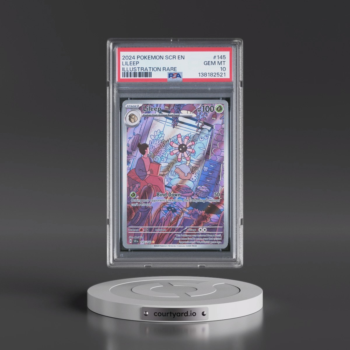 2024 Pokémon Scr EN-Stellar Crown #145 Lileep - Illustration Rare (PSA 10 GEM MINT)