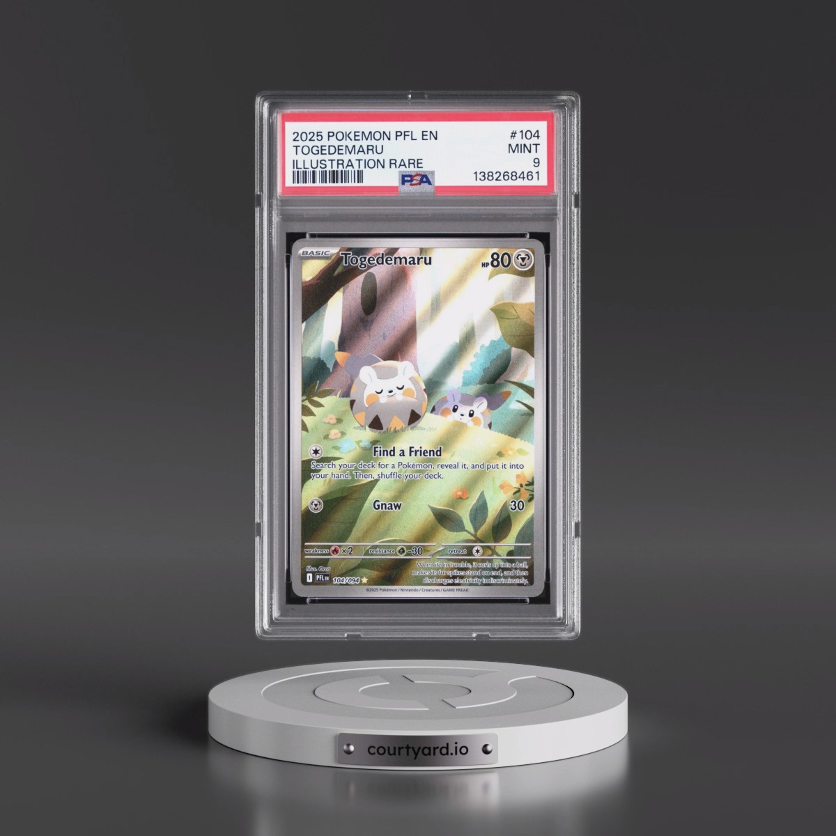2025 Pokémon Pfl EN-Phantasmal Flames #104 Togedemaru - Illustration Rare (PSA 9 MINT)