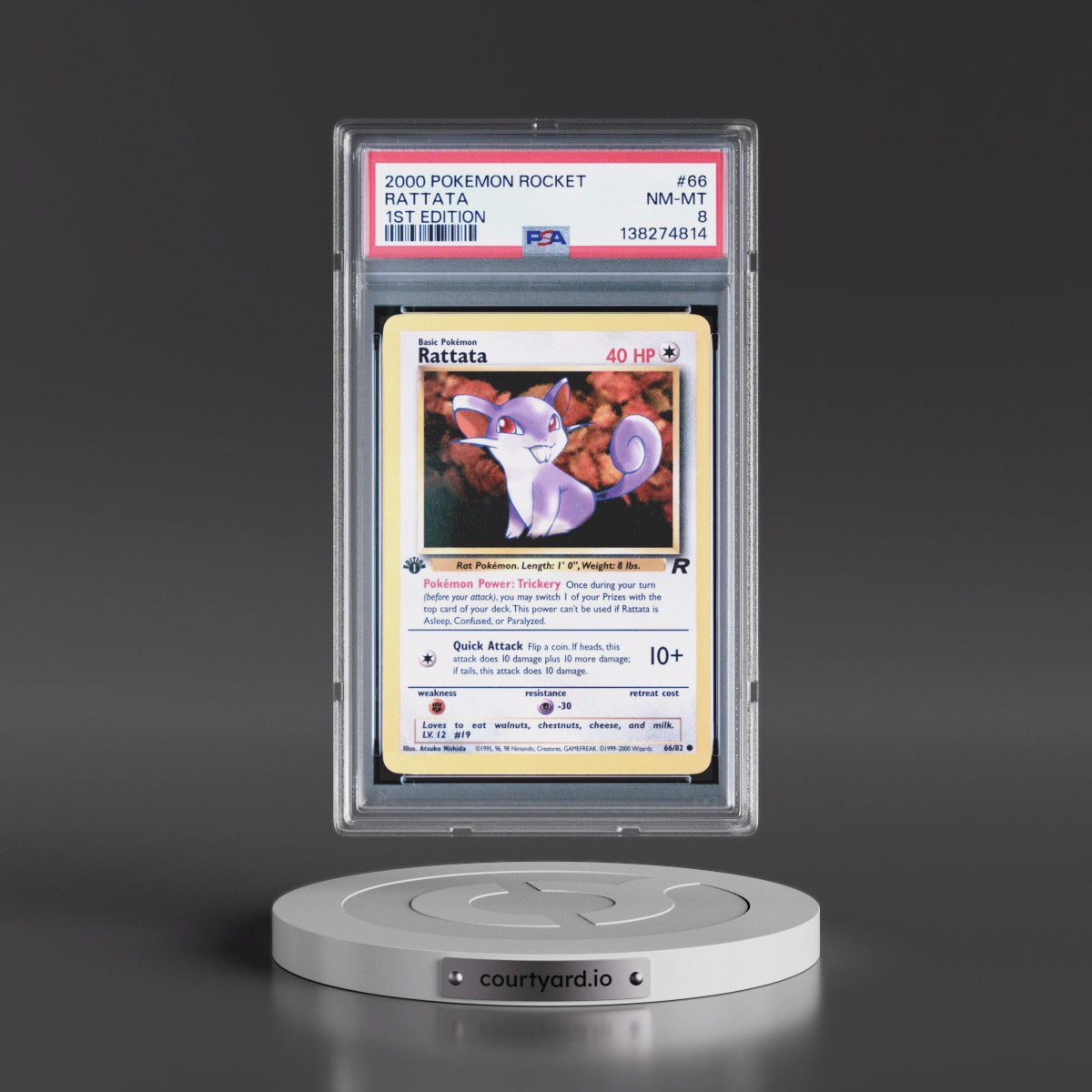 2000 Pokémon Rocket #66 Rattata - 1st Edition (PSA 8 NM-MT)