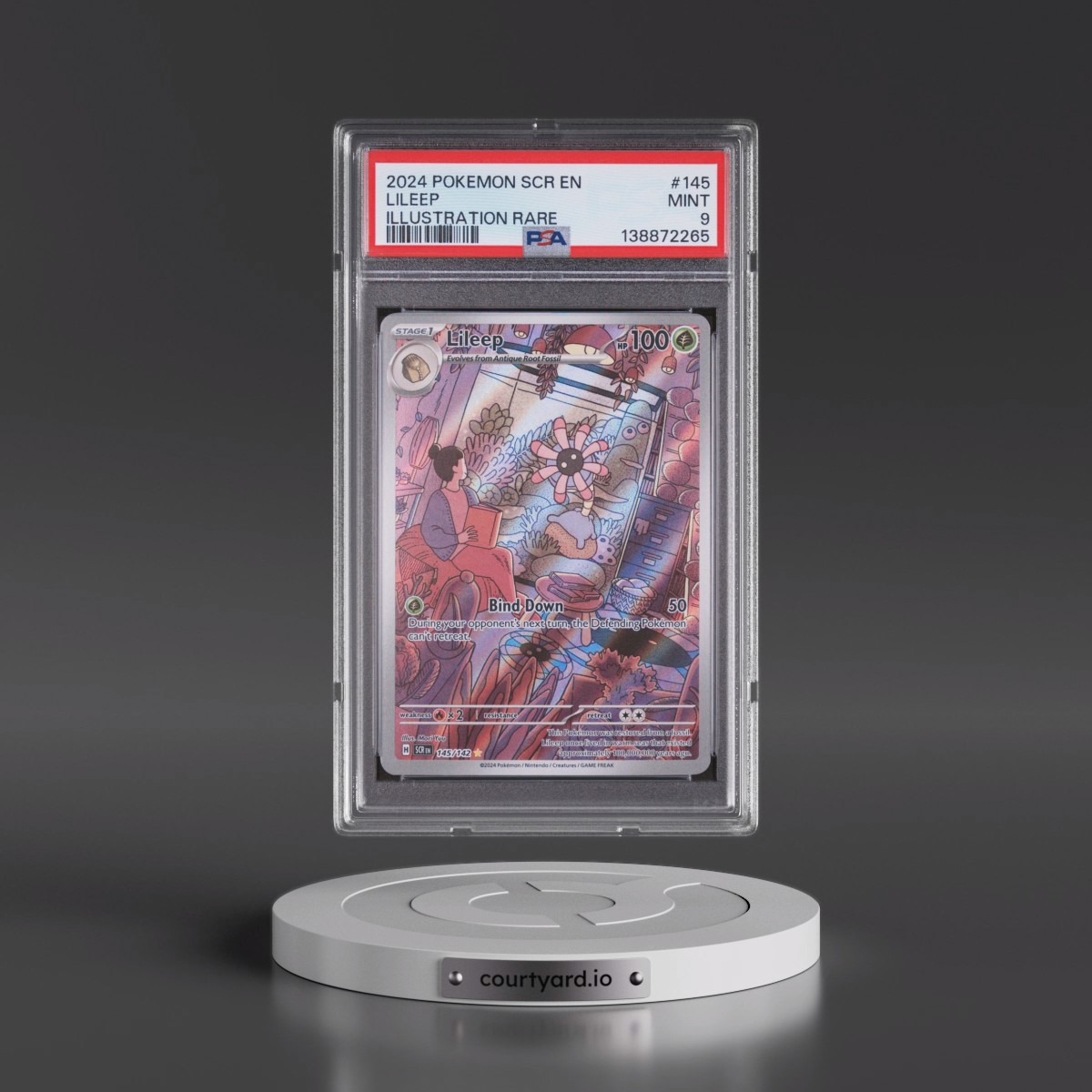 2024 Pokémon Scr EN-Stellar Crown #145 Lileep - Illustration Rare (PSA 9 MINT)