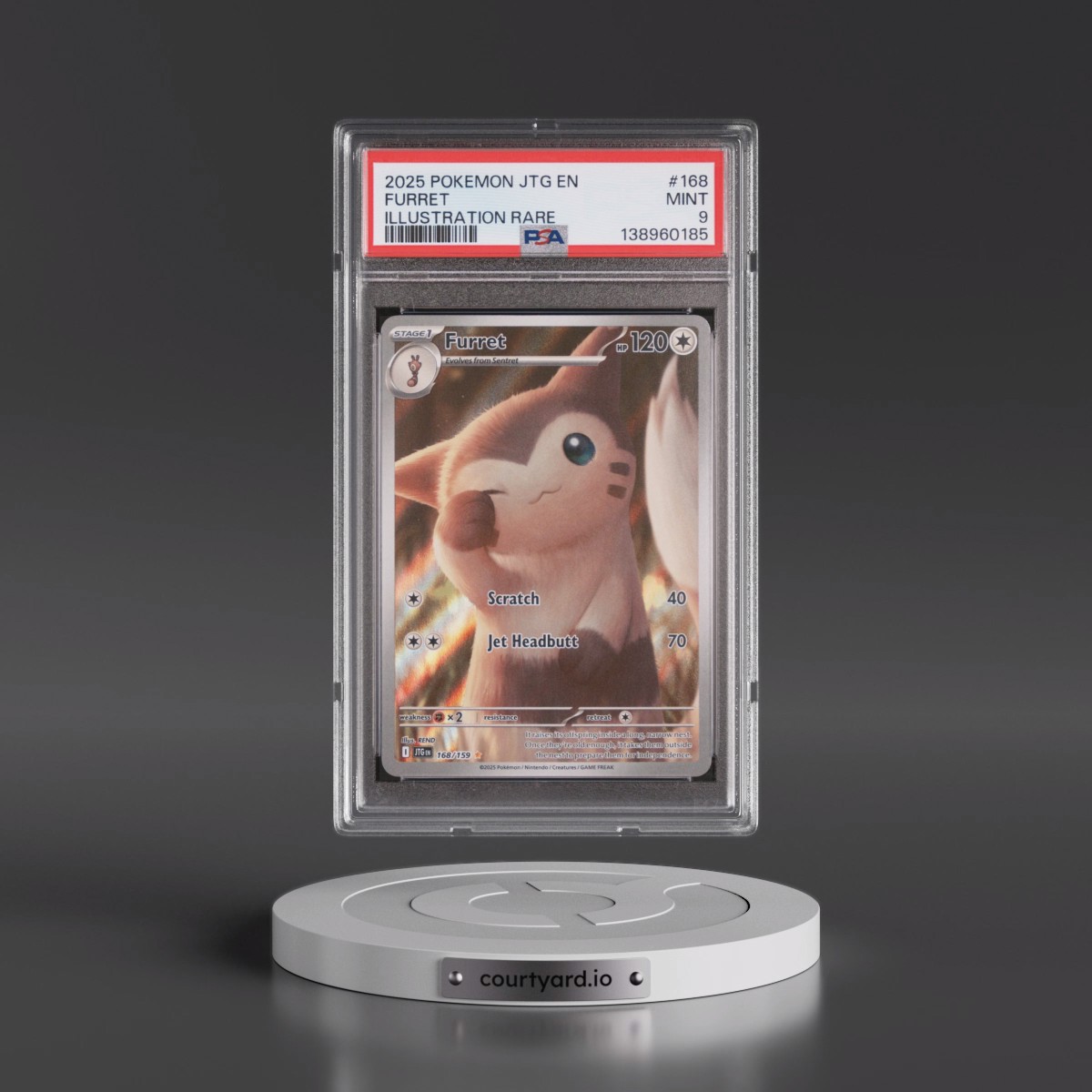 2025 Pokémon Jtg EN-Journey Together #168 Furret - Illustration Rare (PSA 9 MINT)