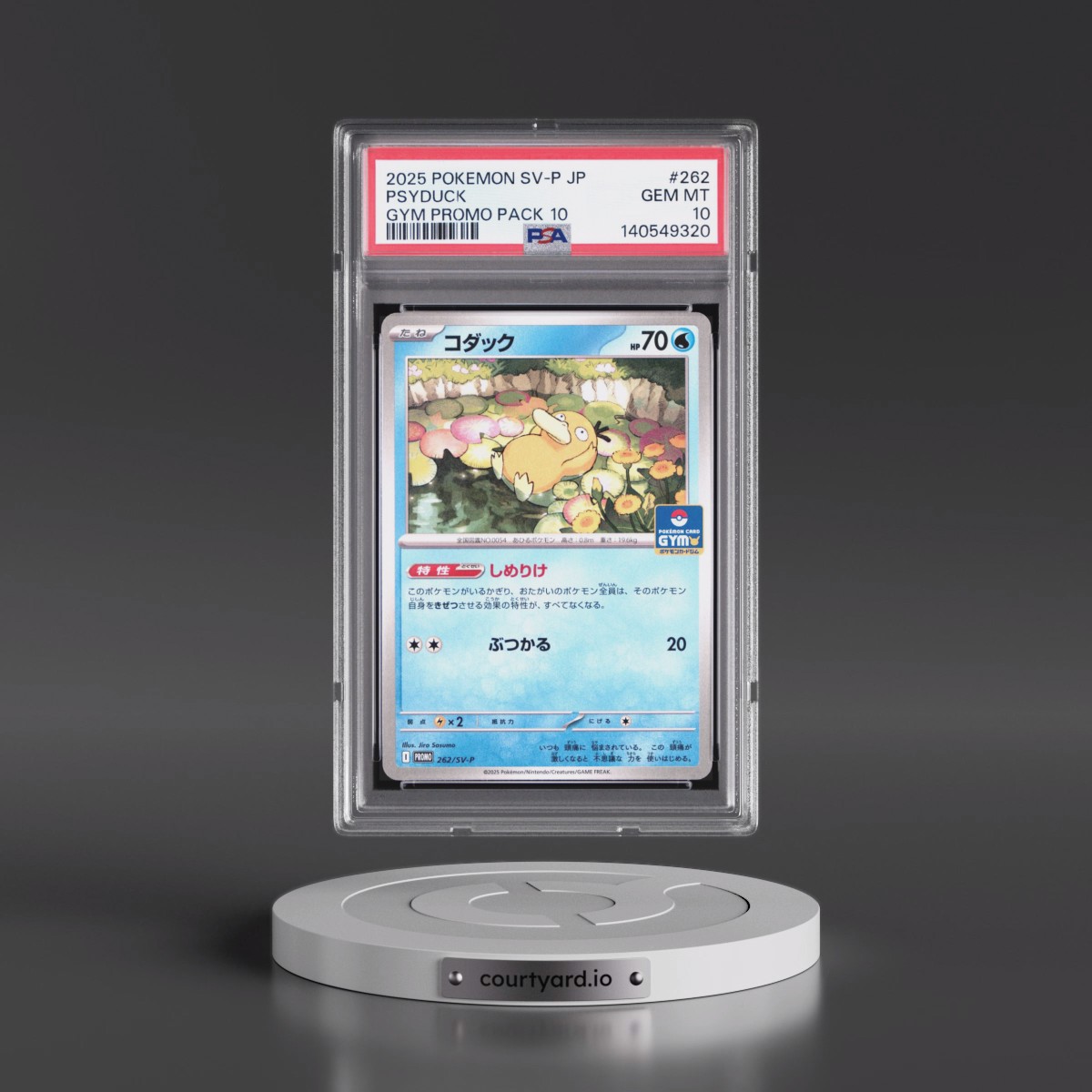 2025 Pokémon SV-P Promo #262 Psyduck - Gym Promo Pack 10 (PSA 10 GEM MINT)