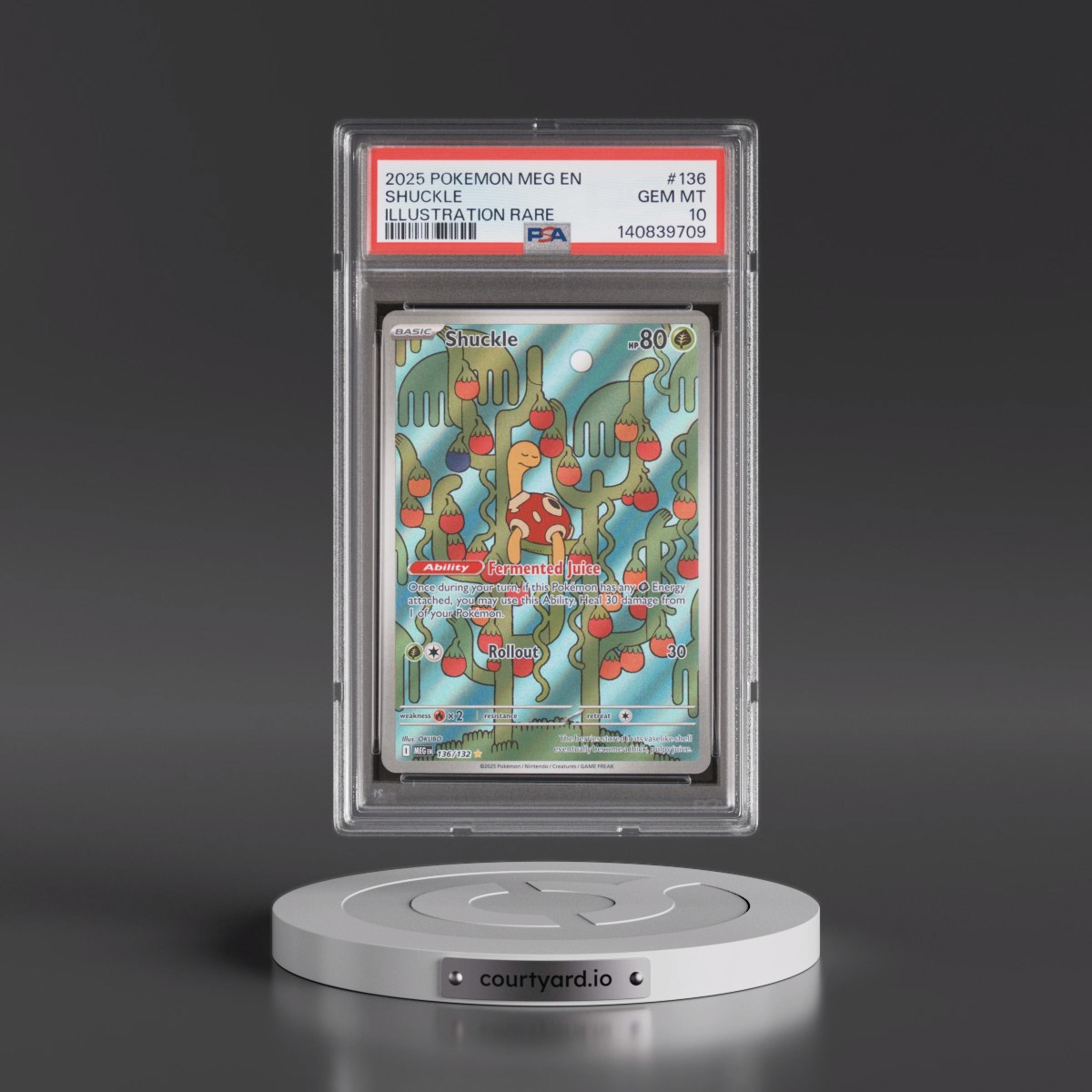 2025 Pokémon Meg EN-Mega Evolution #136 Shuckle - Illustration Rare (PSA 10 GEM MINT)