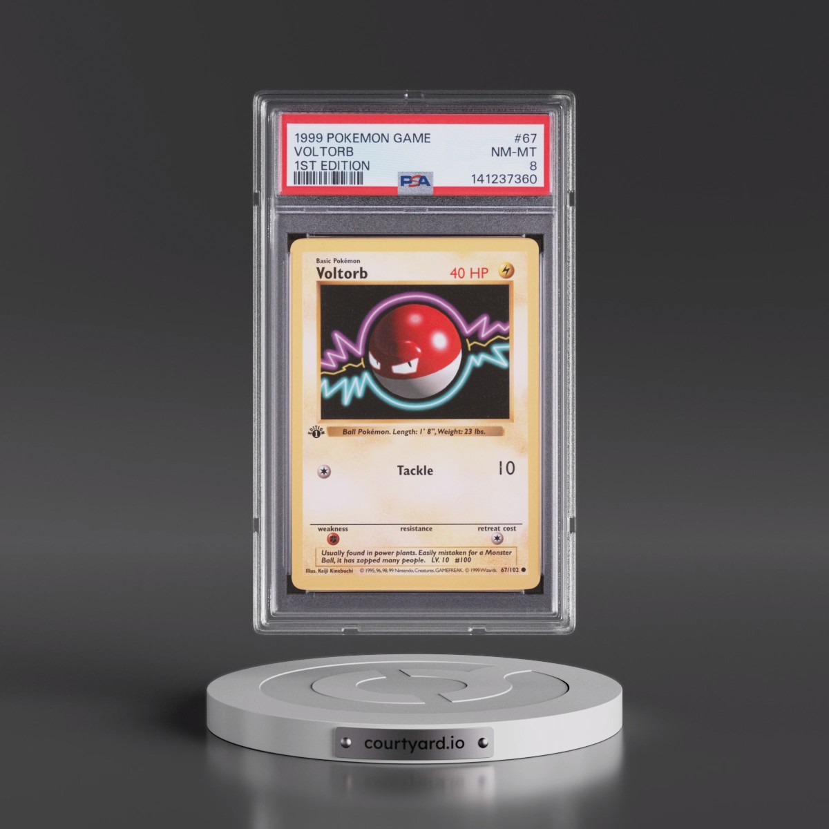 1999 Pokémon Game #67 Voltorb - 1st Edition (PSA 8 NM-MT)