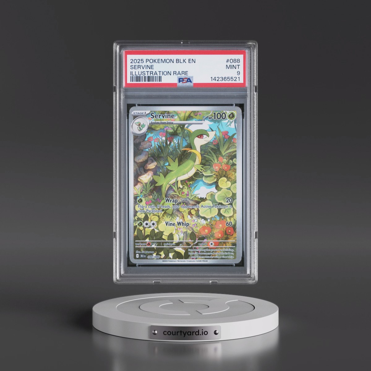 2025 Pokémon Blk EN-Black Bolt #088 Servine - Illustration Rare (PSA 9 MINT)