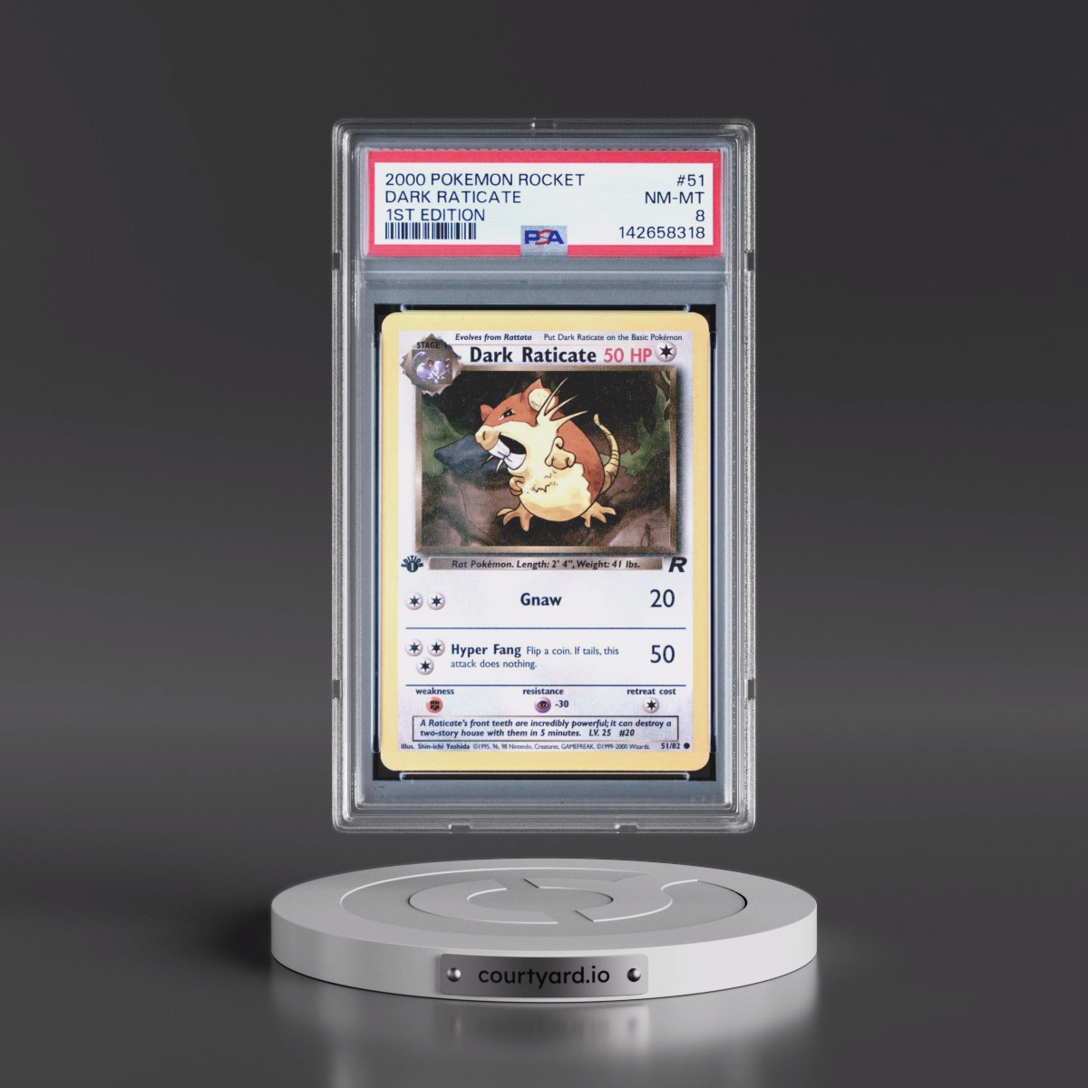 2000 Pokémon Rocket #51 Dark Raticate - 1st Edition (PSA 8 NM-MT)