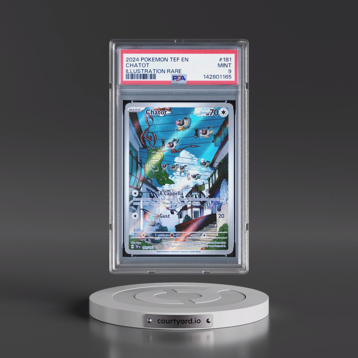 2024 Pokémon Tef EN-Temporal Forces #181 Chatot - Illustration Rare (PSA 9 MINT)