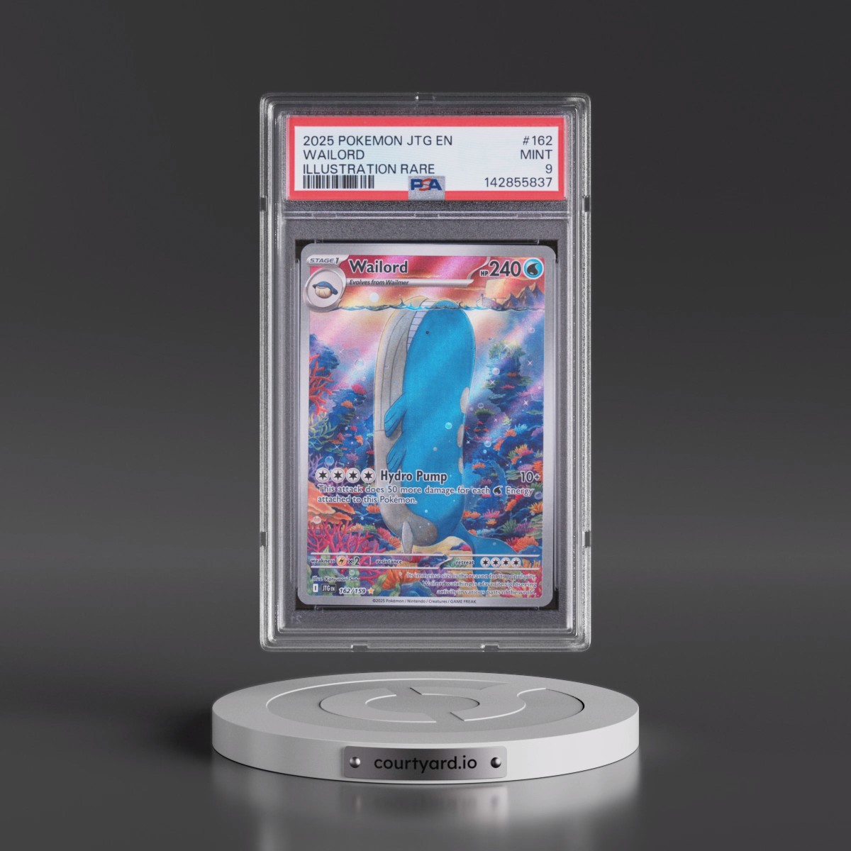 2025 Pokémon Jtg EN-Journey Together #162 Wailord - Illustration Rare (PSA 9 MINT)