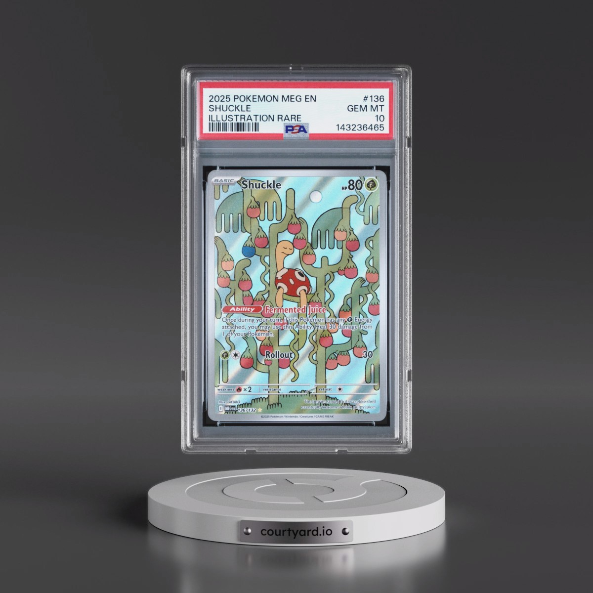 2025 Pokémon Meg EN-Mega Evolution #136 Shuckle - Illustration Rare (PSA 10 GEM MINT)