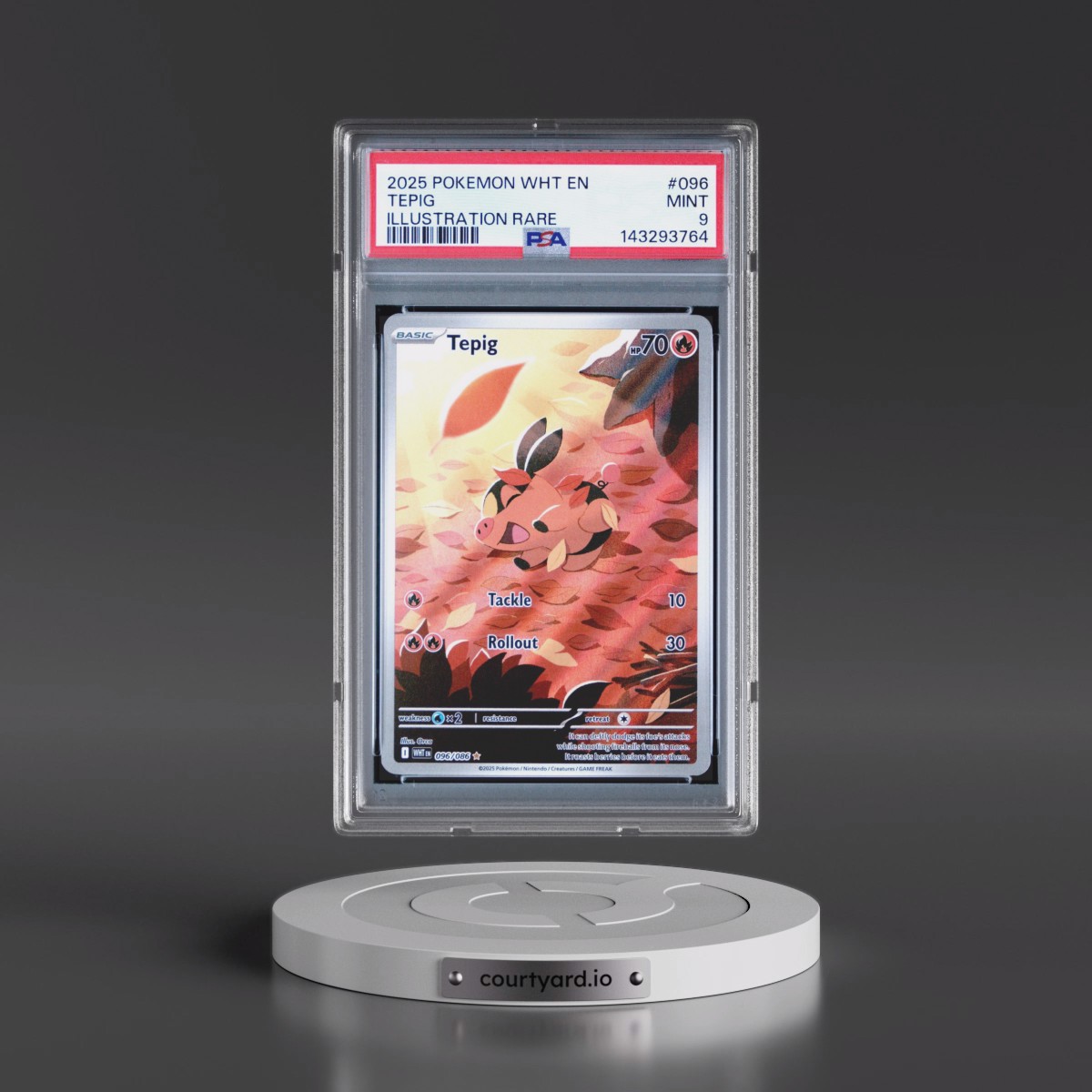 2025 Pokémon Wht EN-White Flare #096 Tepig - Illustration Rare (PSA 9 MINT)
