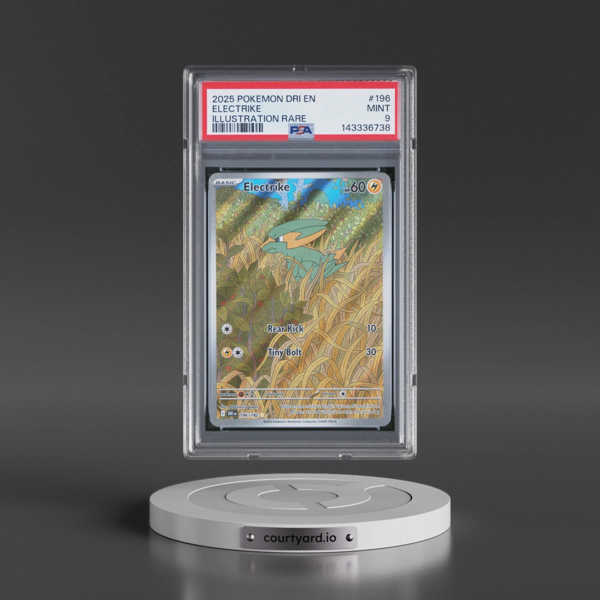 2025 Pokémon Dri EN-Destined Rivals #196 Electrike - Illustration Rare (PSA 9 MINT)