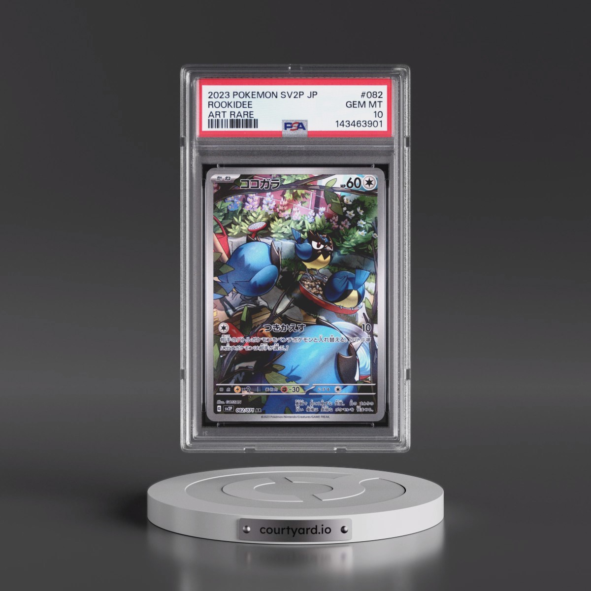 2023 Pokémon Sv2p-Snow Hazard #082 Rookidee - Art Rare (PSA 10 GEM MINT)