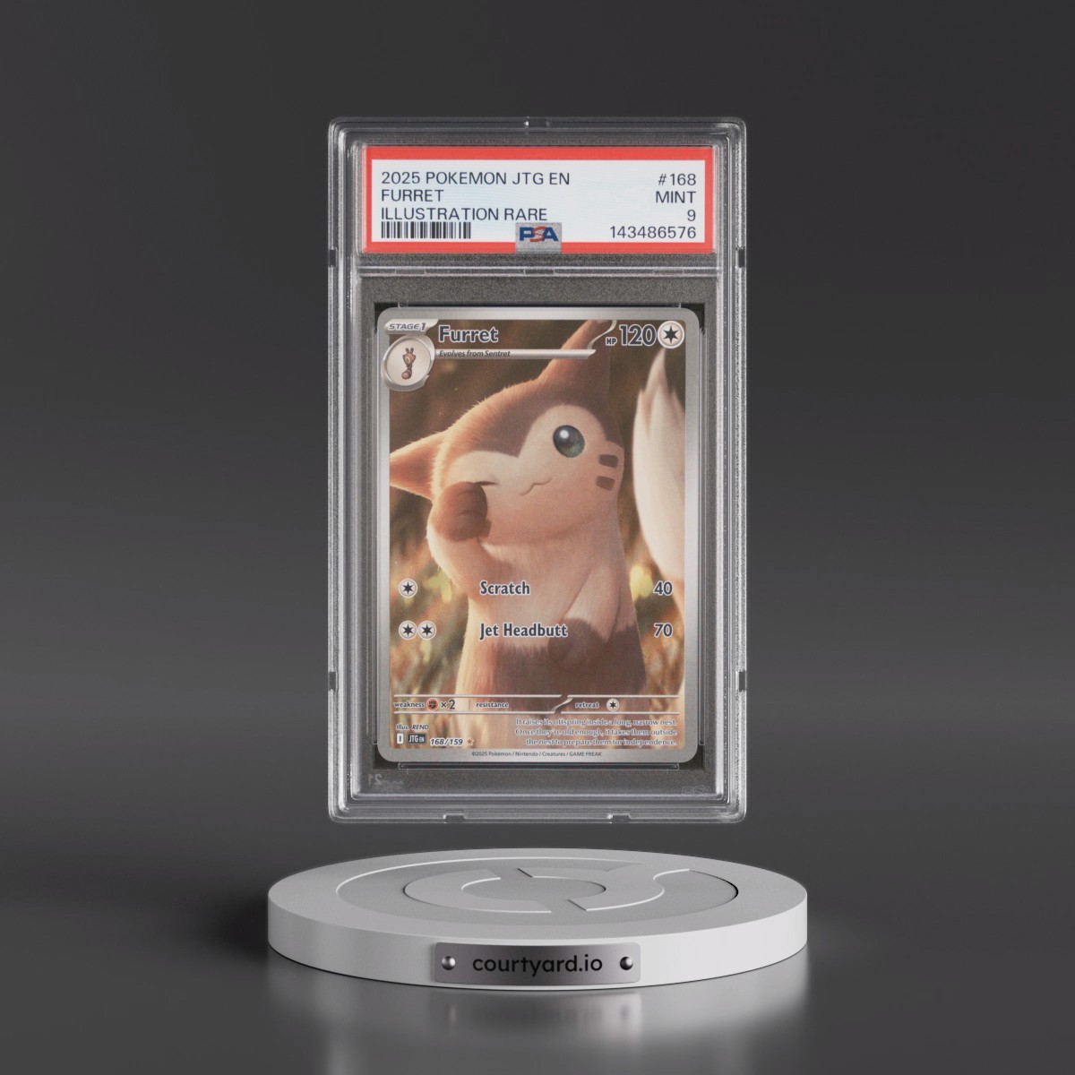 2025 Pokémon Jtg EN-Journey Together #168 Furret - Illustration Rare (PSA 9 MINT)