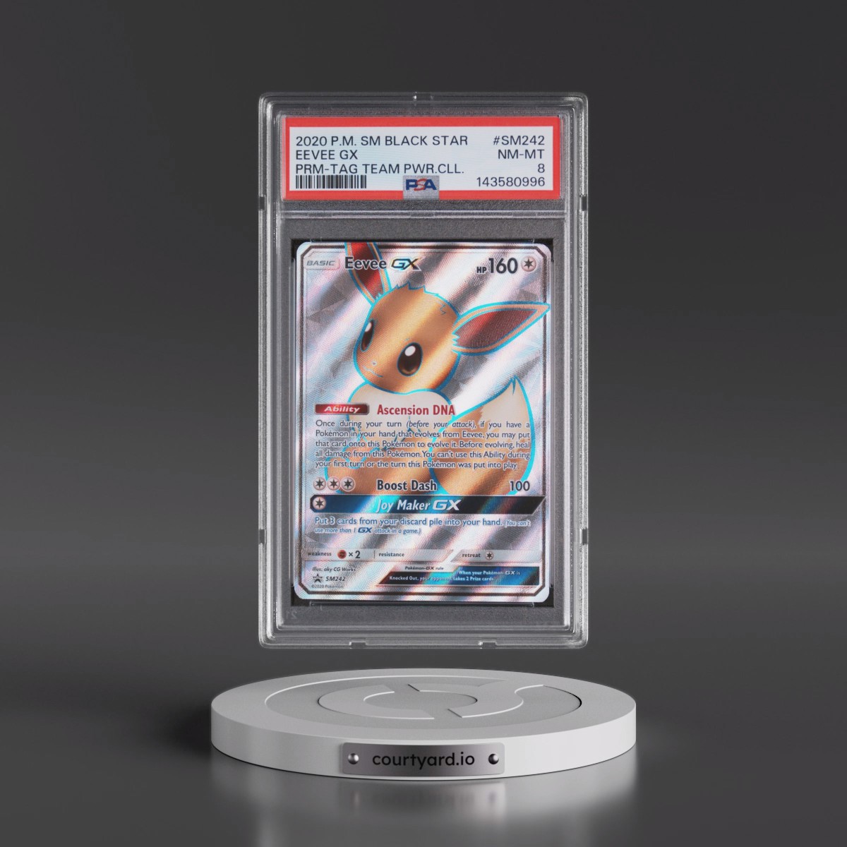 2020 Pokémon SM Black Star Promo #SM242 Eevee GX - Holo Tag Team Powers Collection (PSA 8 NM-MT)