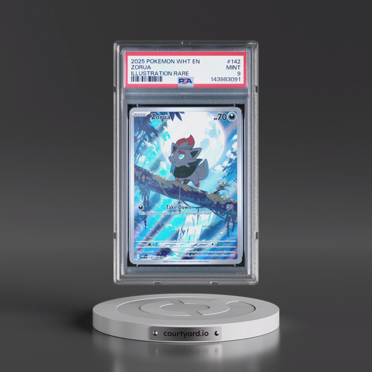 2025 Pokémon Wht EN-White Flare #142 Zorua - Illustration Rare (PSA 9 MINT)