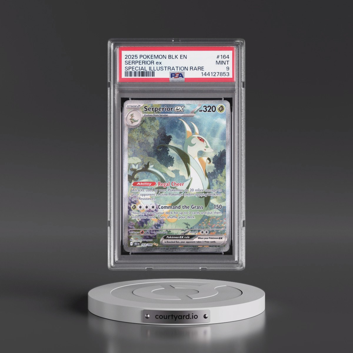 2025 Pokémon Blk EN-Black Bolt #164 Serperior EX - Holo Special Illustration Rare (PSA 9 MINT)