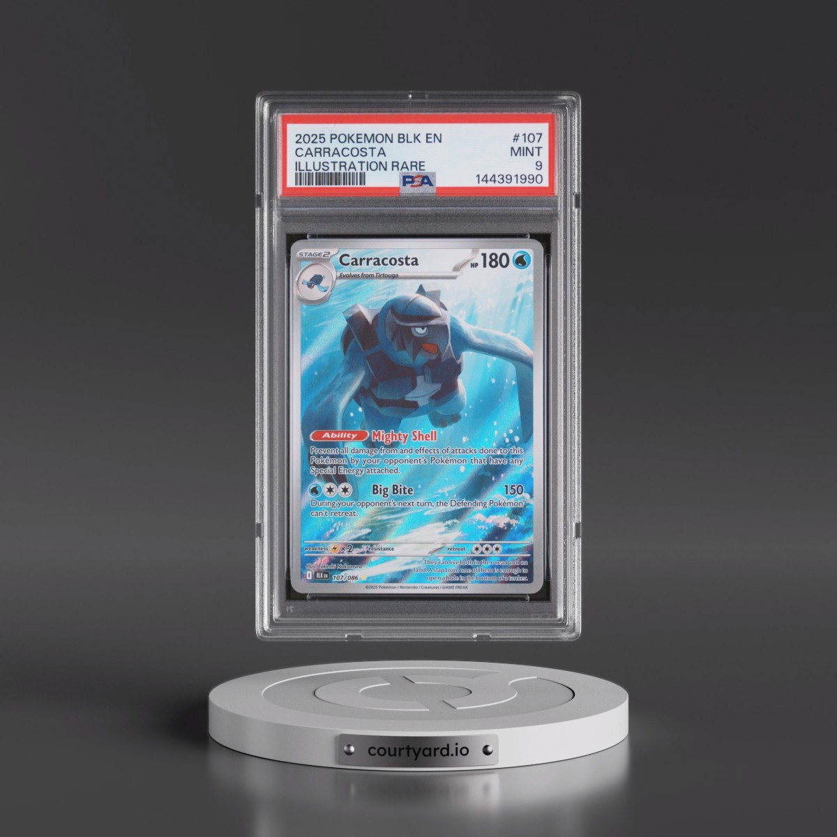 2025 Pokémon Blk EN-Black Bolt #107 Carracosta - Illustration Rare (PSA 9 MINT)