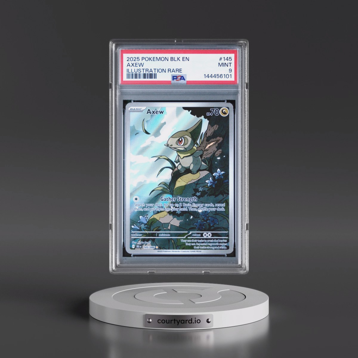 2025 Pokémon Blk EN-Black Bolt #145 Axew - Illustration Rare (PSA 9 MINT)