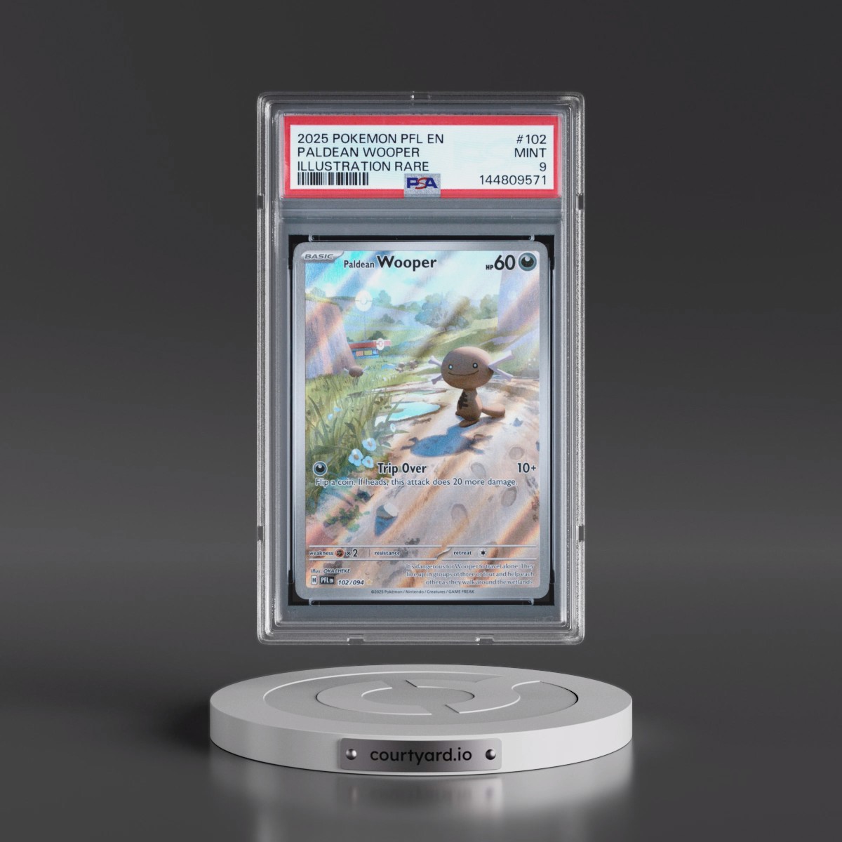 2025 Pokémon Pfl EN-Phantasmal Flames #102 Paldean Wooper - Illustration Rare (PSA 9 MINT)