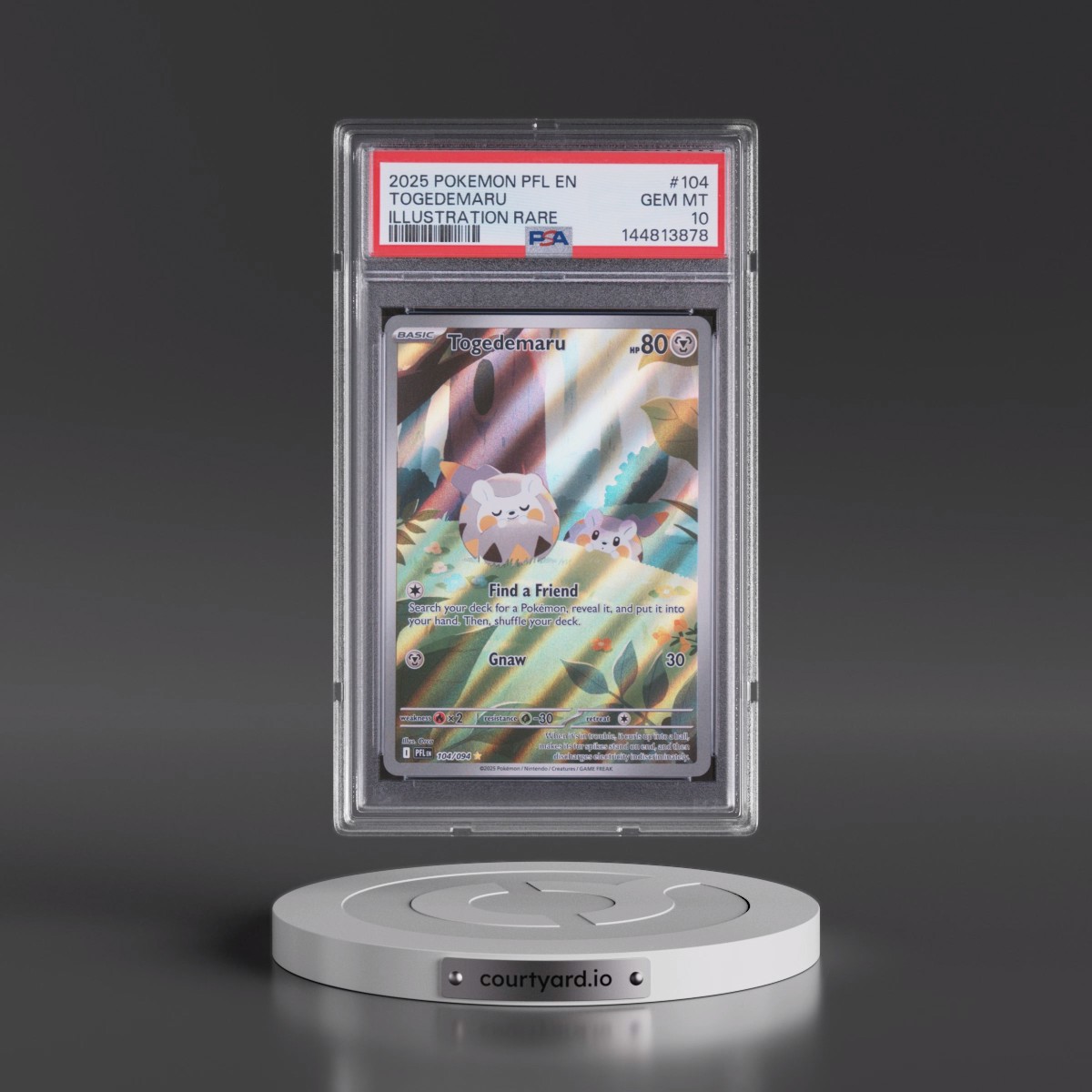 2025 Pokémon Pfl EN-Phantasmal Flames #104 Togedemaru - Illustration Rare (PSA 10 GEM MINT)