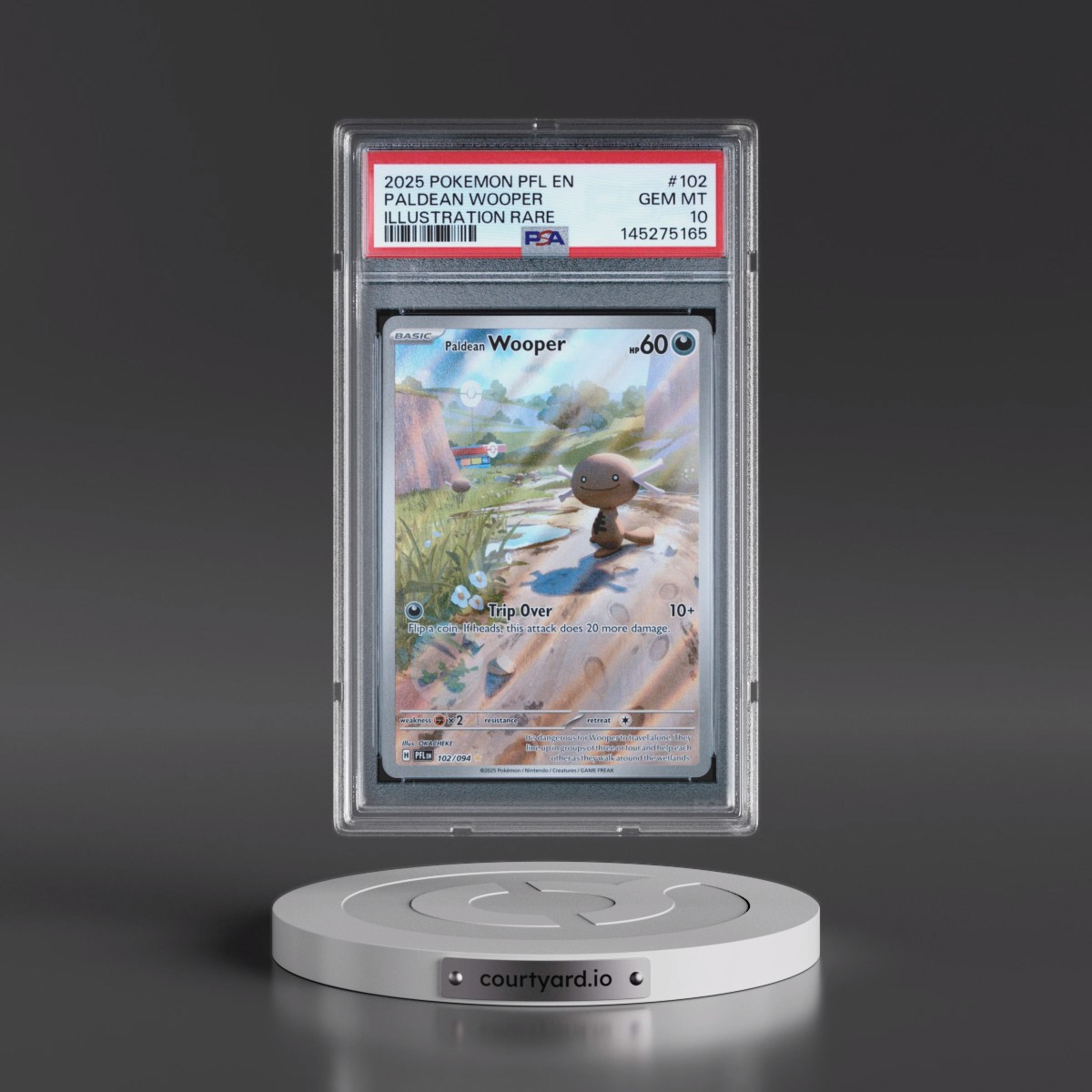 2025 Pokémon Pfl EN-Phantasmal Flames #102 Paldean Wooper - Illustration Rare (PSA 10 GEM MINT)