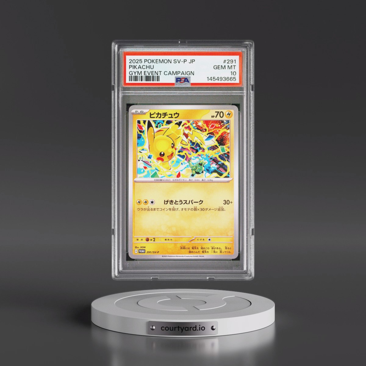 2025 Pokémon SV-P Promo #291 Pikachu - Gym Event Campaign (PSA 10 GEM MINT)
