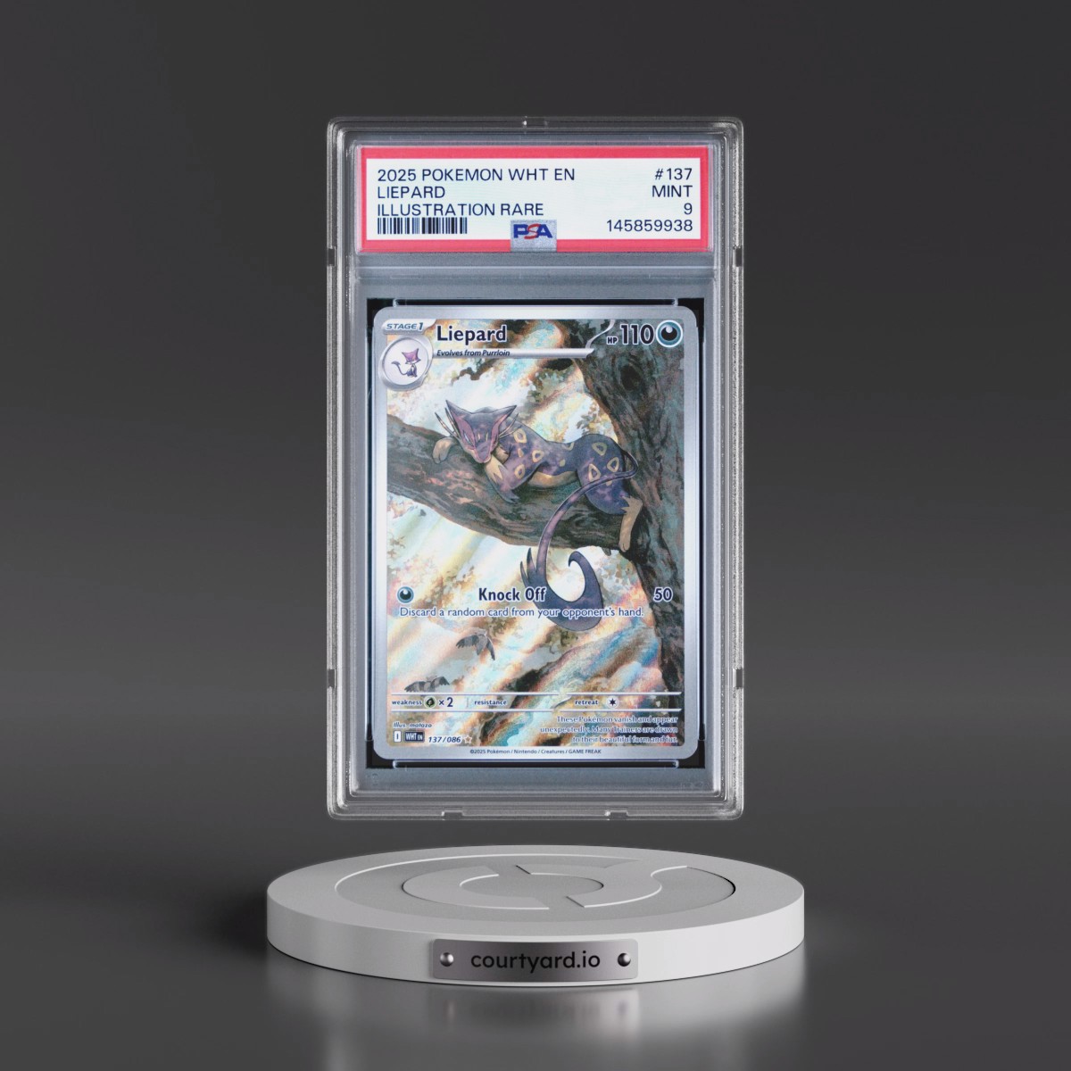 2025 Pokémon Wht EN-White Flare #137 Liepard - Illustration Rare (PSA 9 MINT)