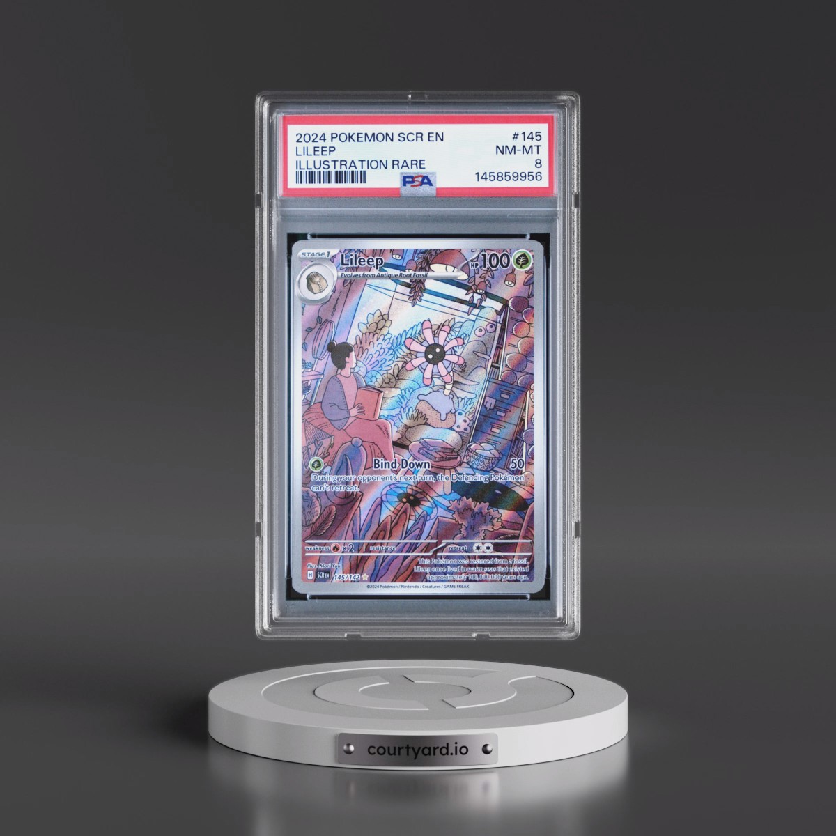 2024 Pokémon Scr EN-Stellar Crown #145 Lileep - Illustration Rare (PSA 8 NM-MT)
