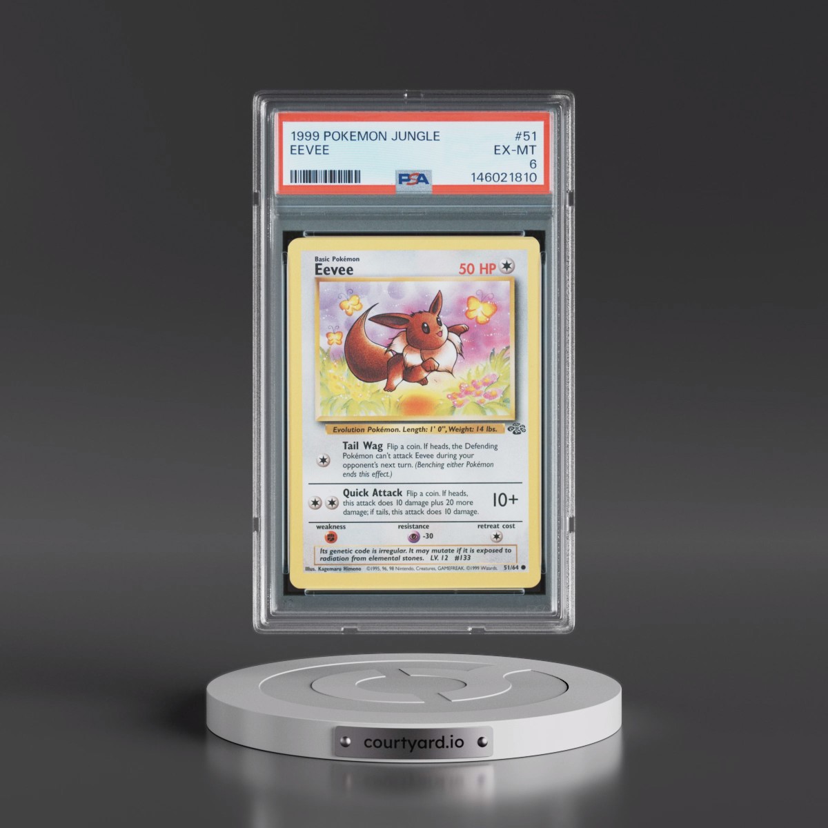 1999 Pokémon Jungle #51 Eevee (PSA 6 EX-MT)
