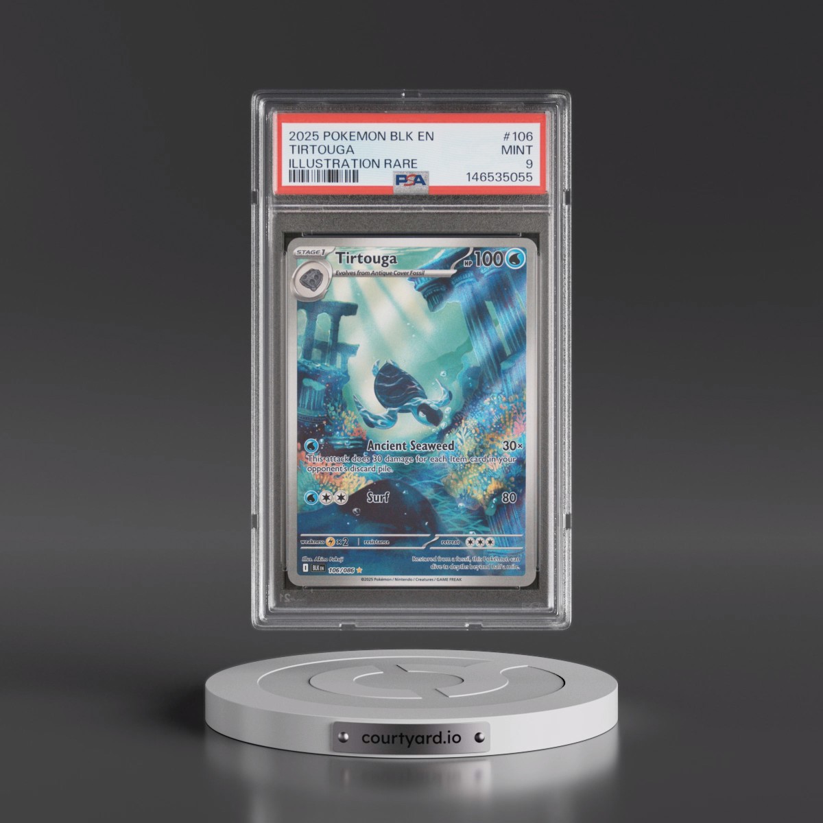 2025 Pokémon Blk EN-Black Bolt #106 Tirtouga - Illustration Rare (PSA 9 MINT)