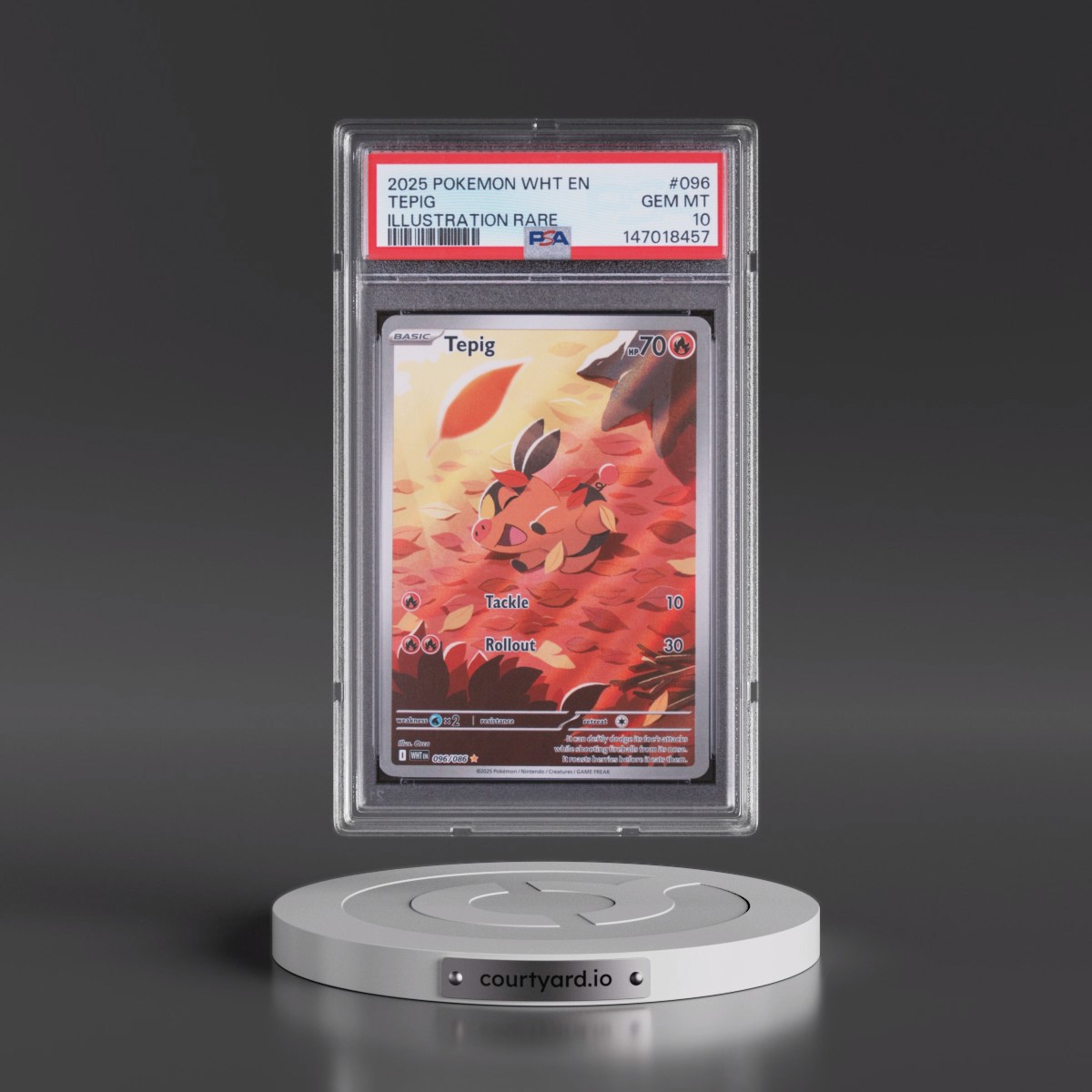 2025 Pokémon Wht EN-White Flare Tepig - Illustration Rare #096 PSA 10