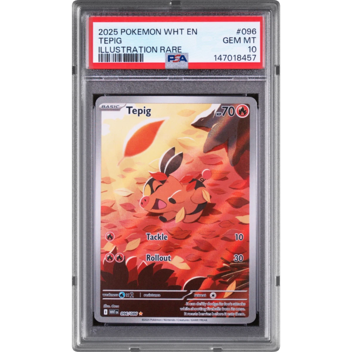 Tepig card artwork