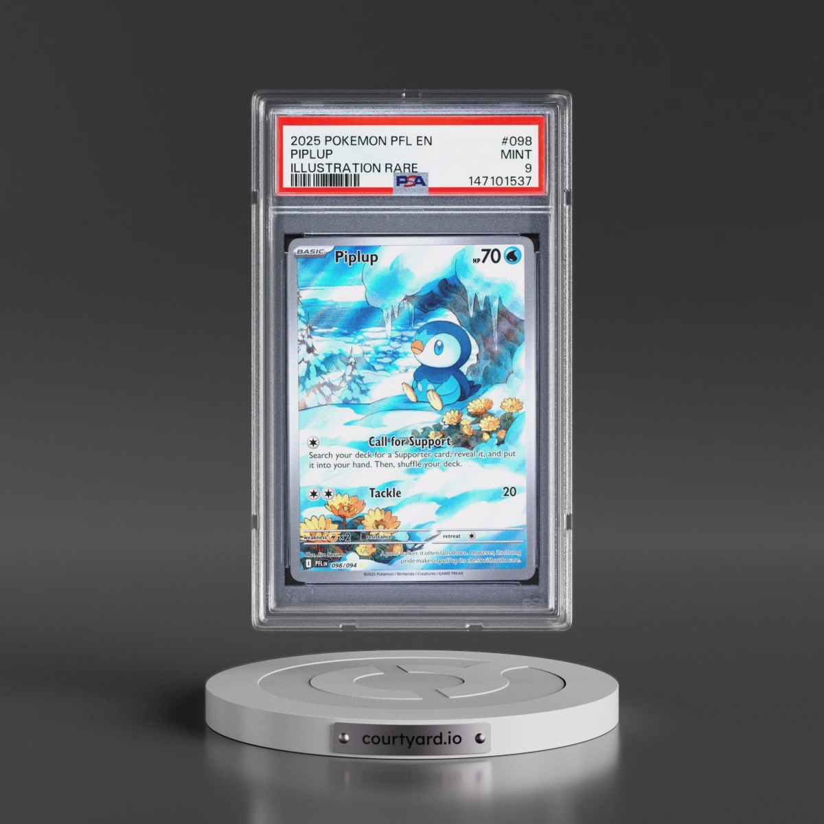 2025 Pokémon Pfl EN-Phantasmal Flames #098 Piplup - Illustration Rare (PSA 9 MINT)