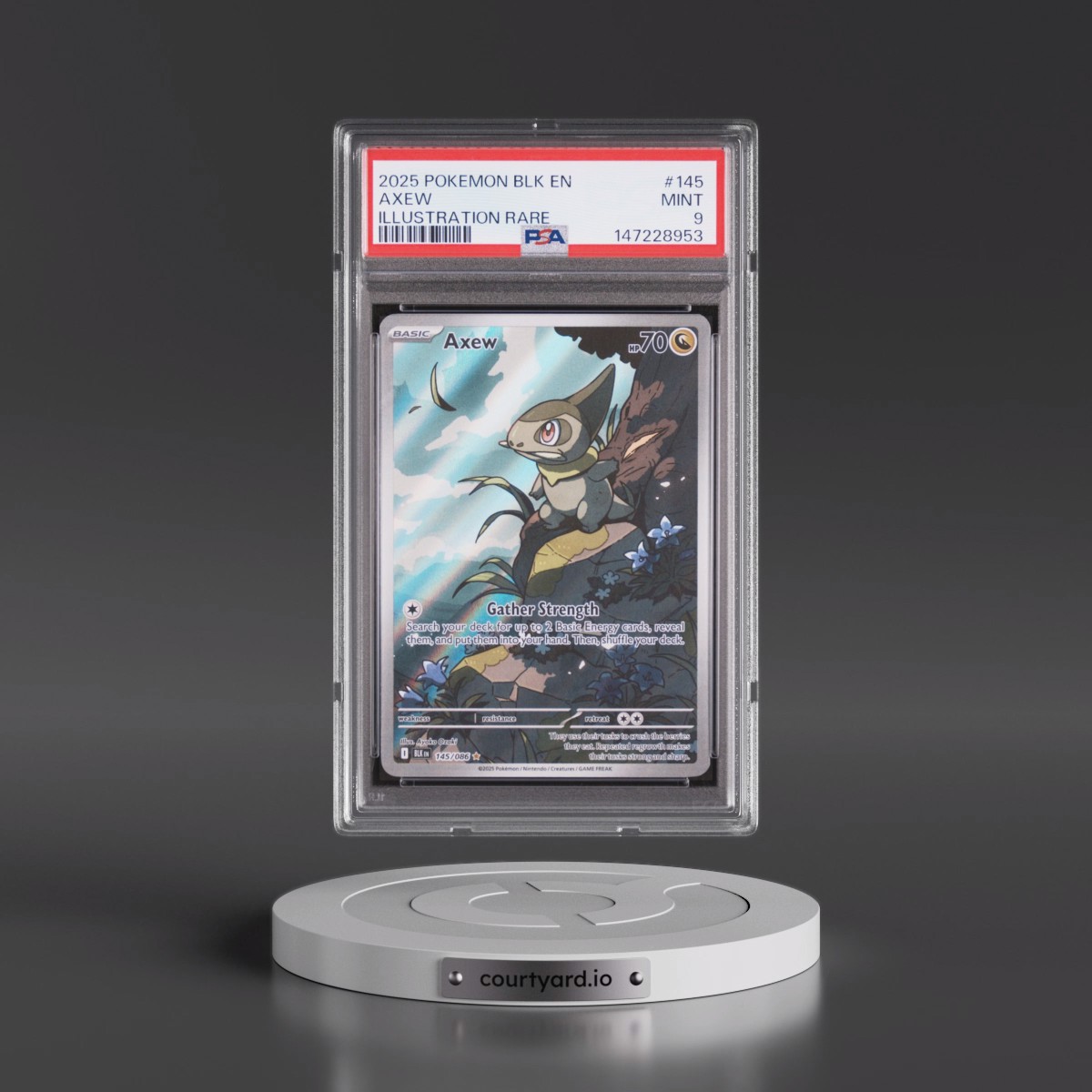 2025 Pokémon Blk EN-Black Bolt #145 Axew - Illustration Rare (PSA 9 MINT)