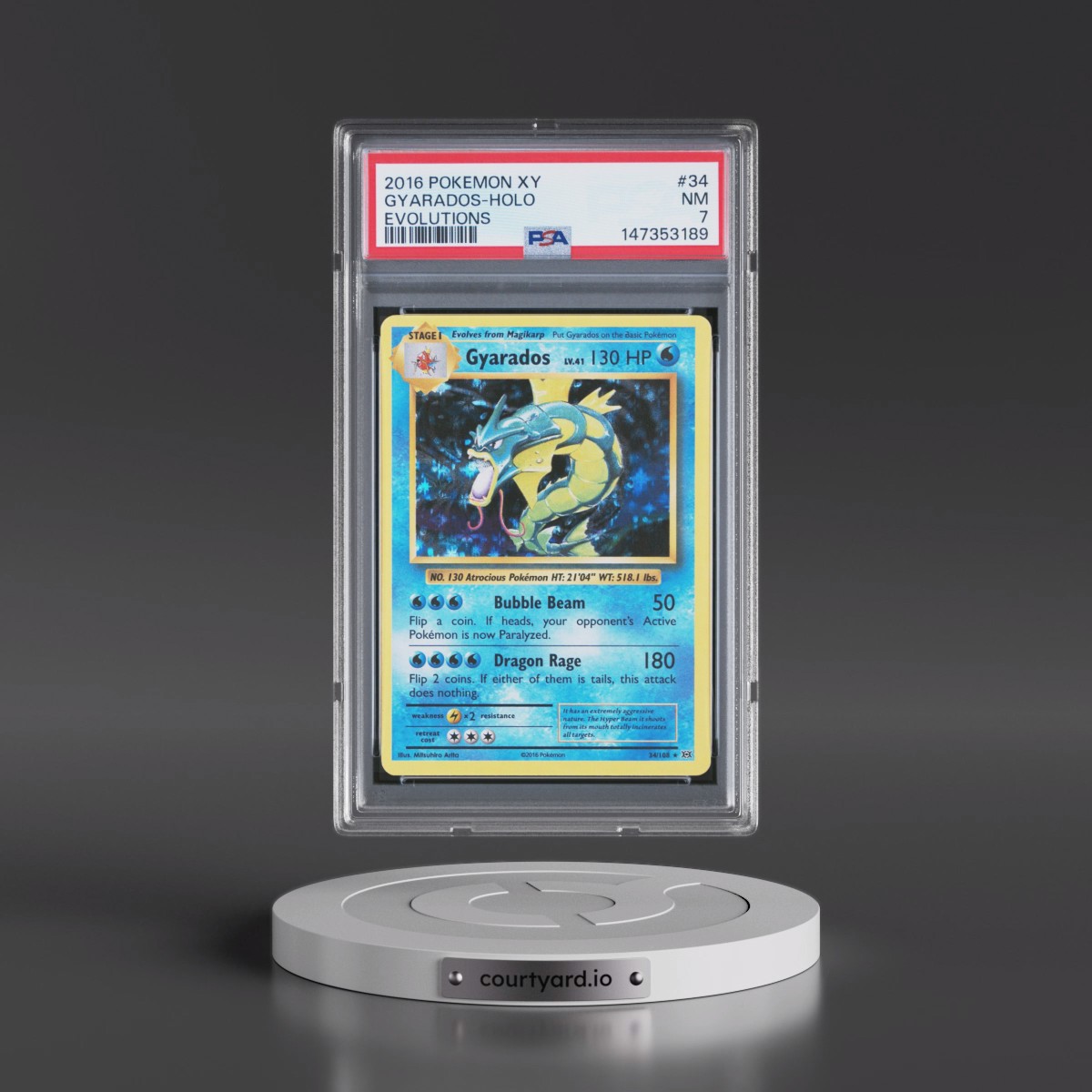 2016 Pokémon XY Evolutions #34 Gyarados - Holo (PSA 7 NM)